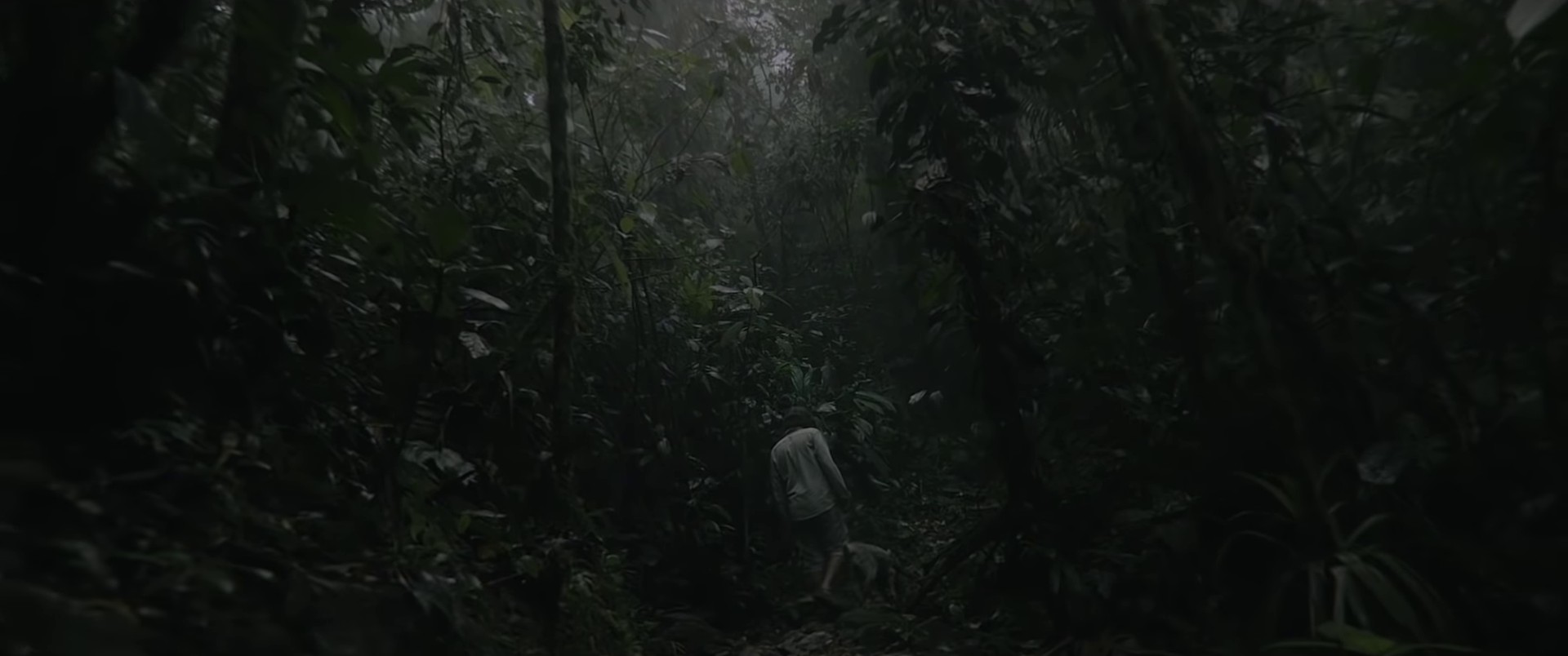 This is not the end  (2022) —  shot,  lighting