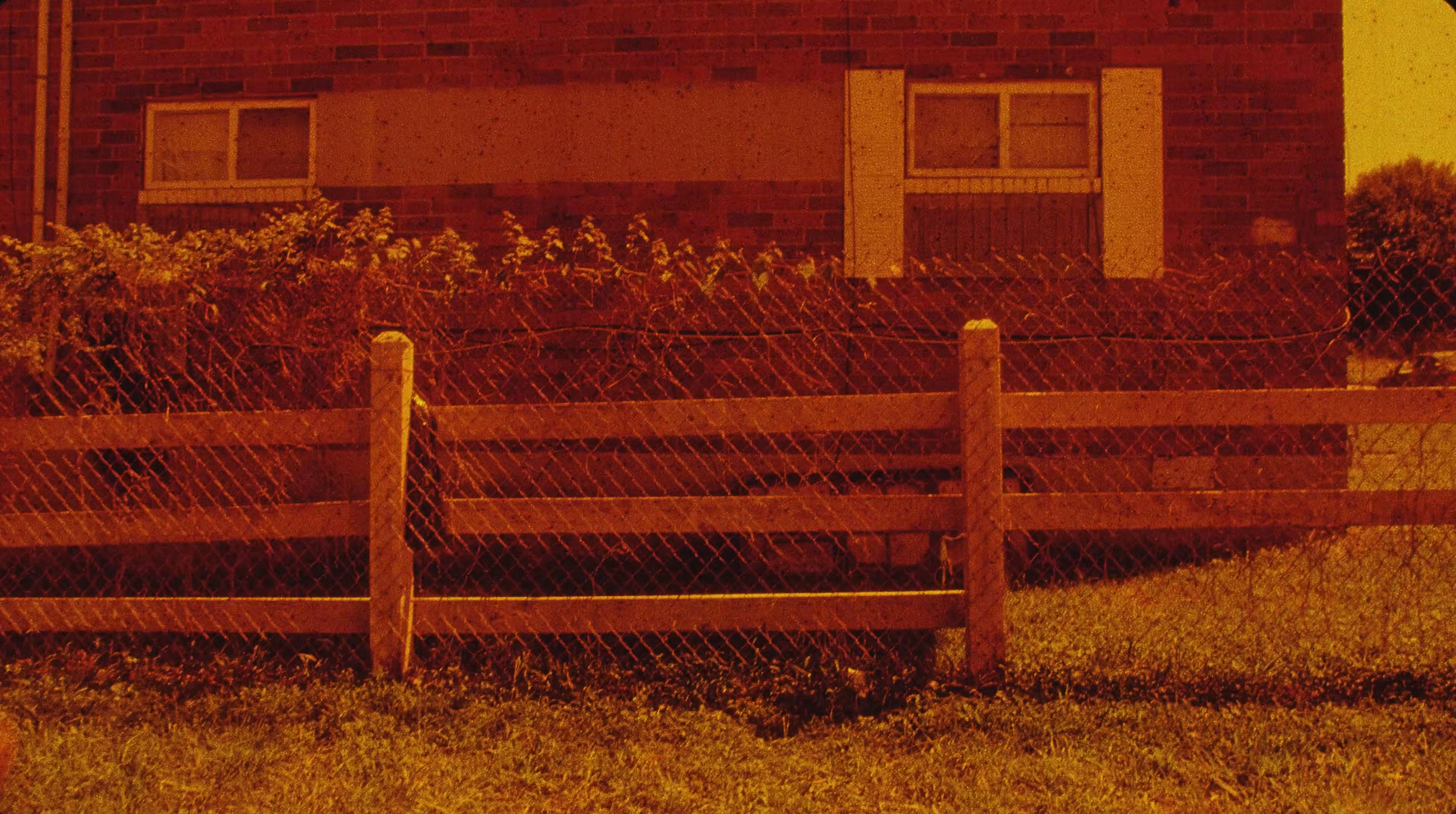 Community  (2025) —  shot,  lighting