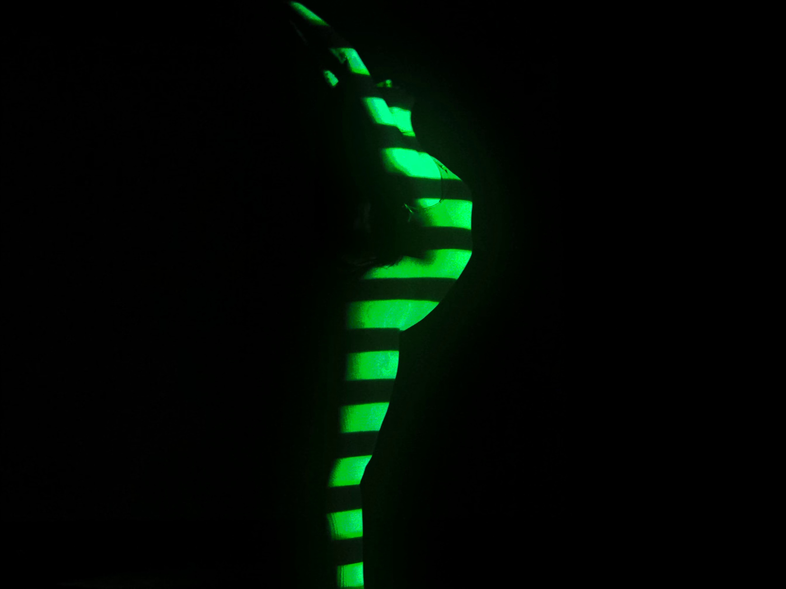 Curious (2023) —  shot,  lighting