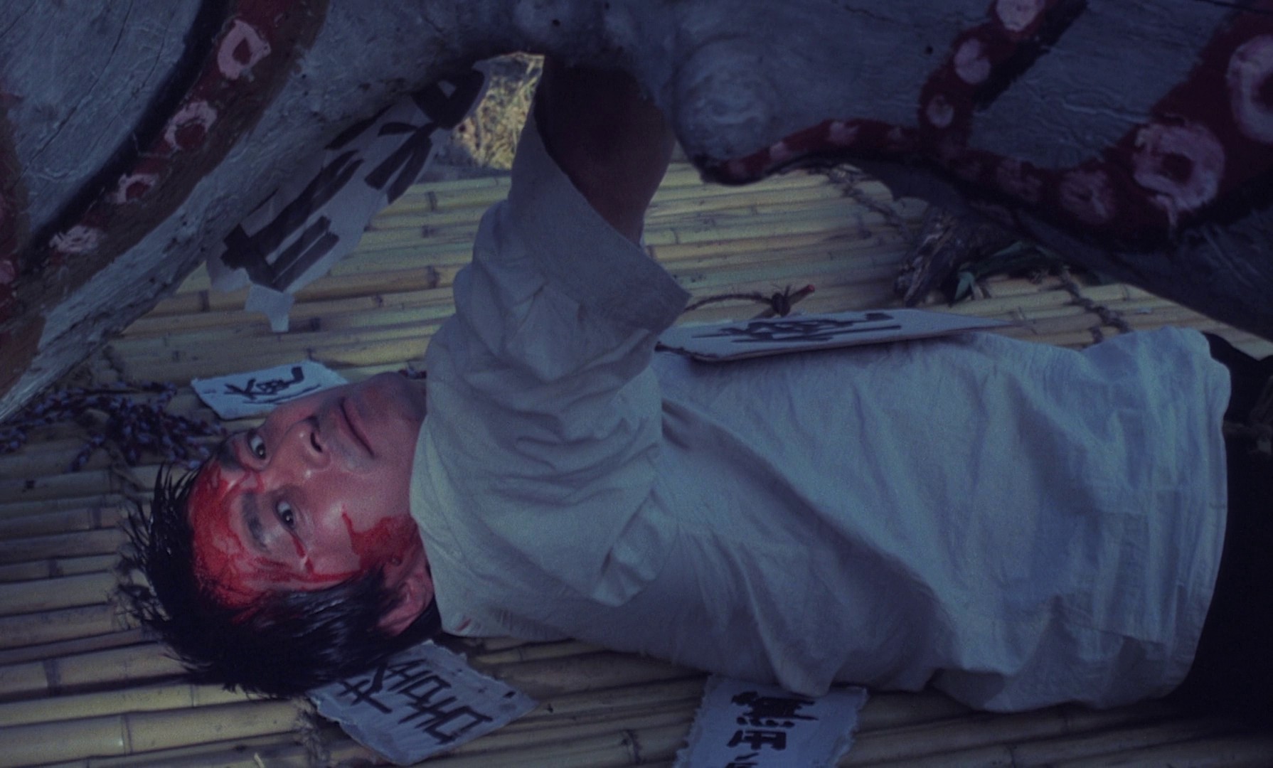 Farewell to the Ark (1984) —  shot,  lighting