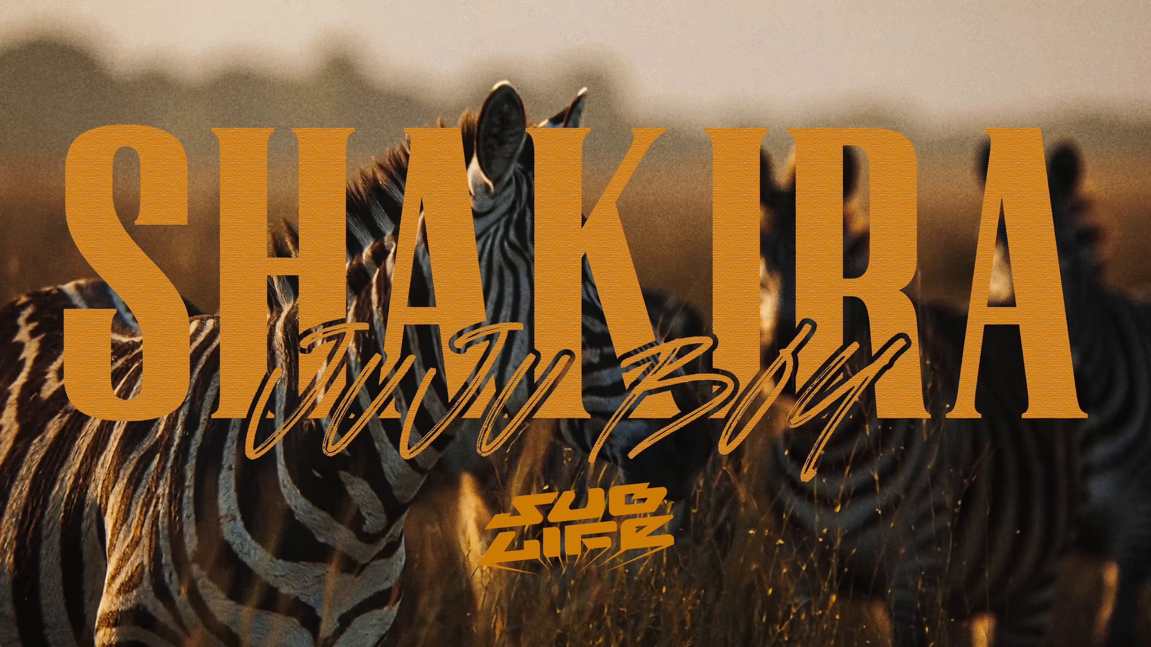 Sublife (2025) —  shot,  lighting