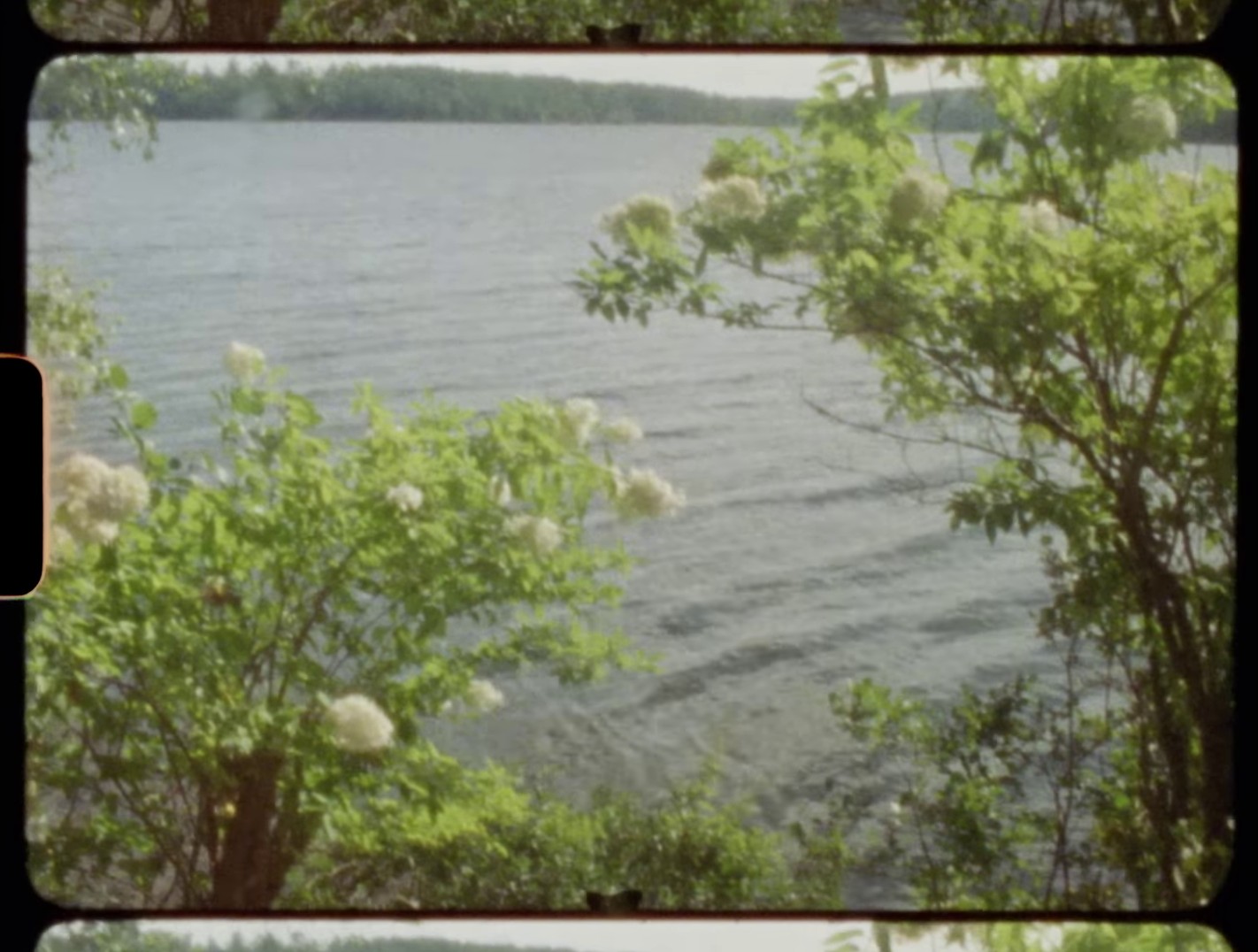 Don't Forget Me (2024) —  shot,  lighting