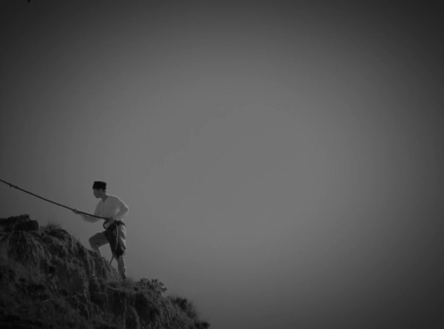 Grateful Grapefruit (2025) —  shot,  lighting