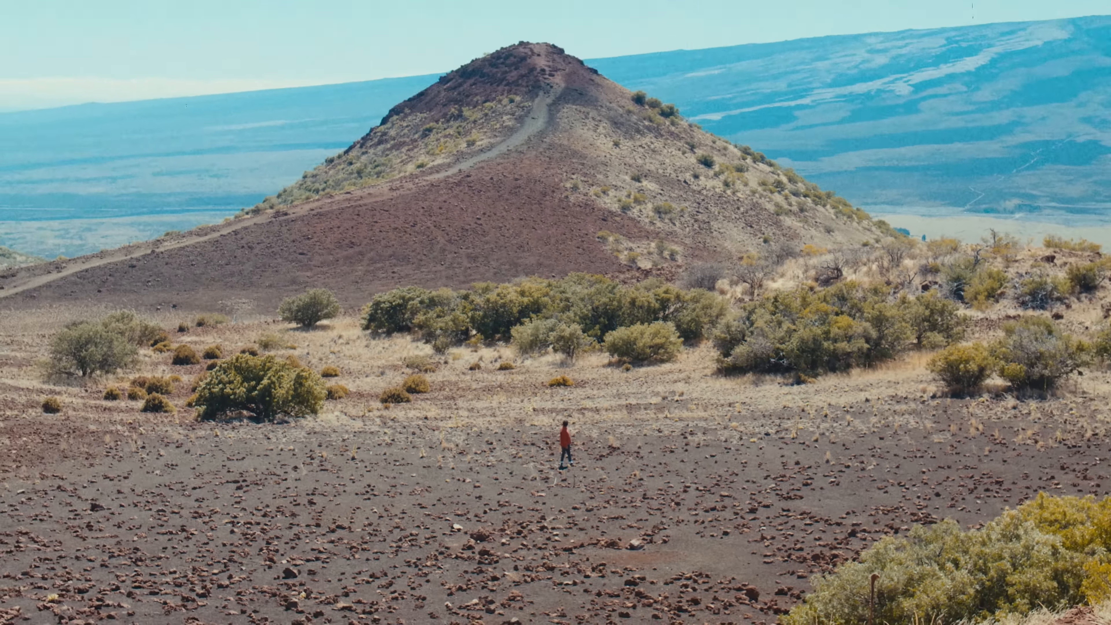 Only If You Say So (2024) —  shot,  lighting