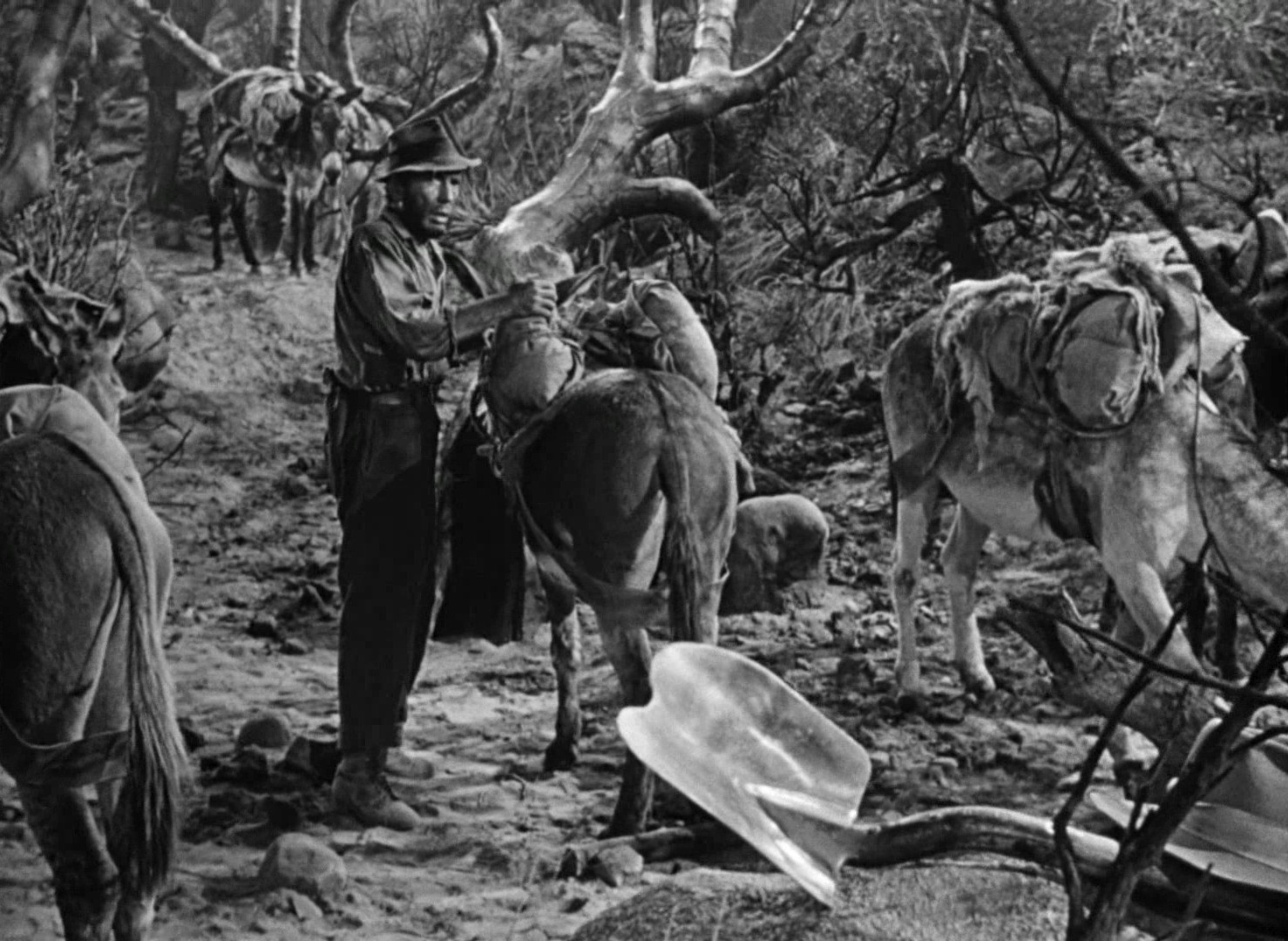 The Treasure of the Sierra Madre (1948) —  shot,  lighting