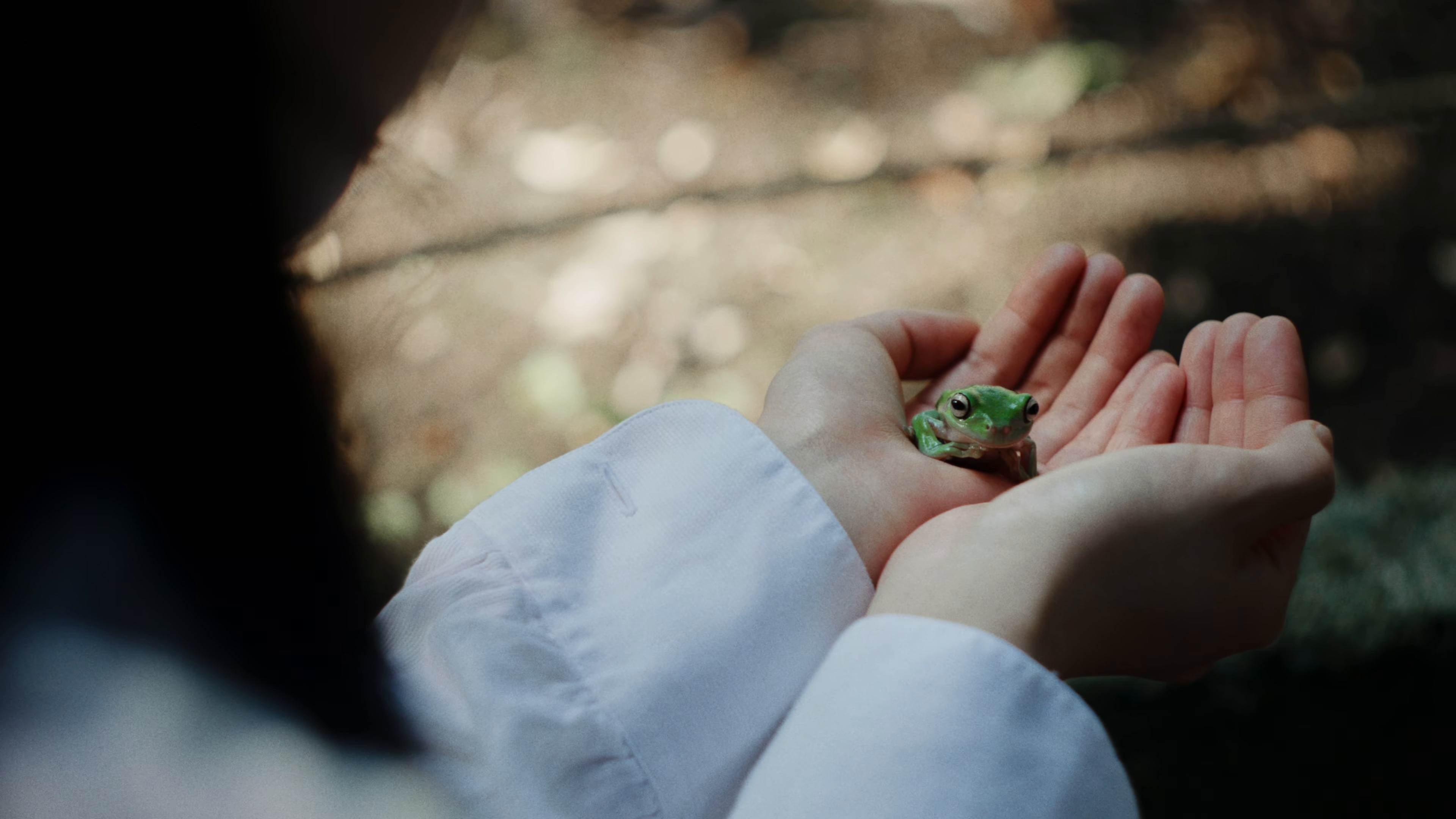 MINE (2026) —  shot,  lighting