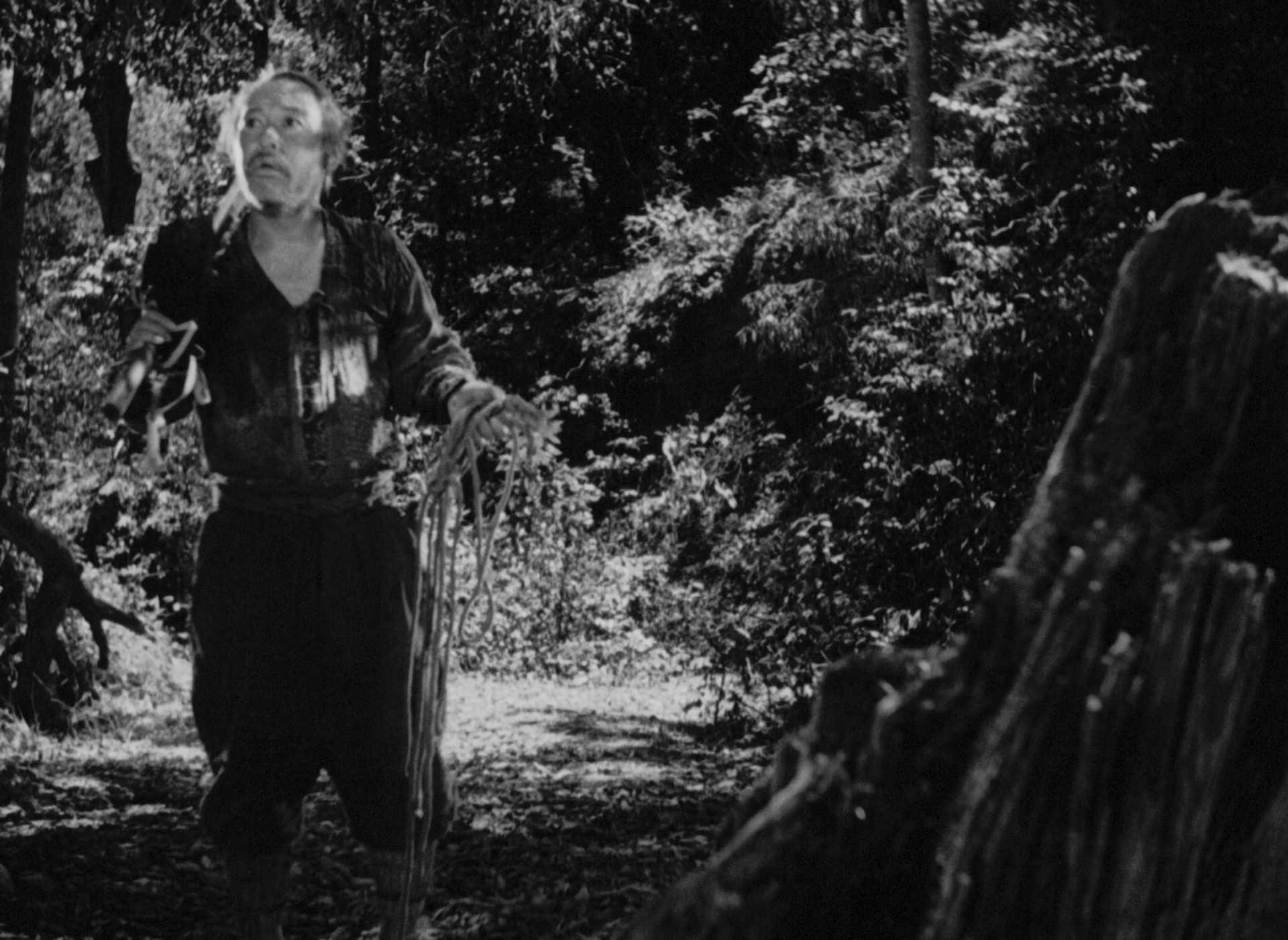 Rashomon (1950) —  shot,  lighting