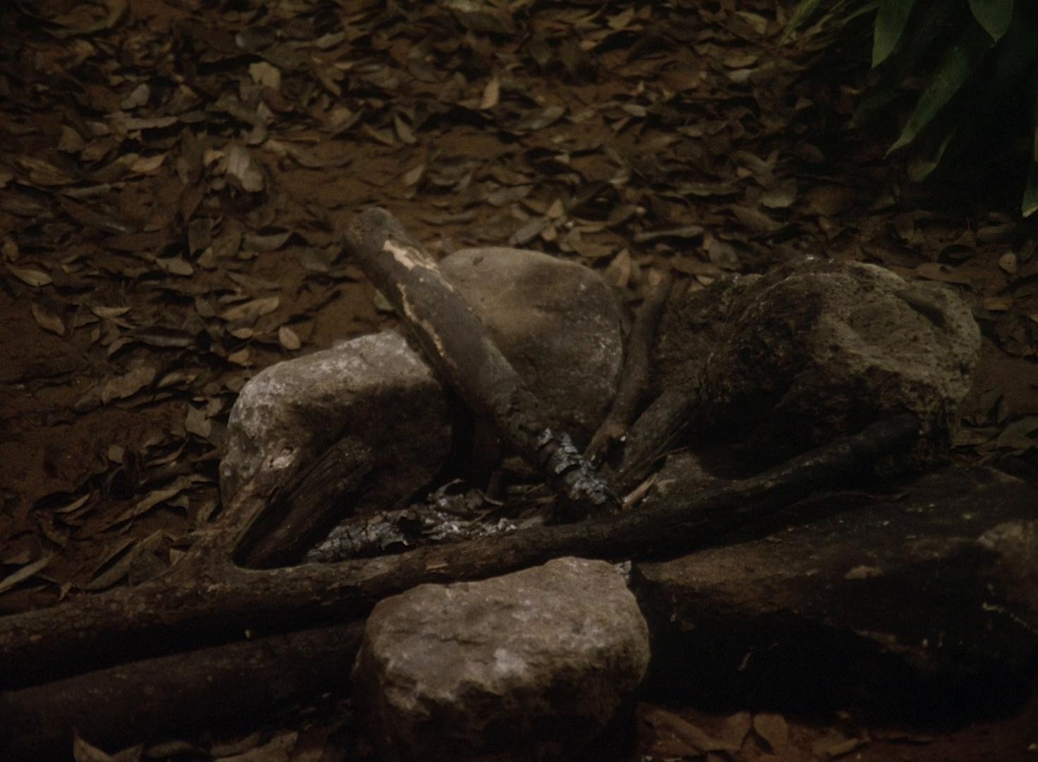 The Devil's Island (1977) —  shot,  lighting