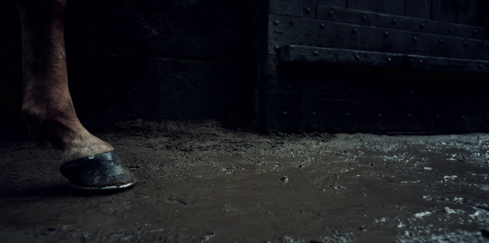 The End's Beginning (2019) —  shot,  lighting