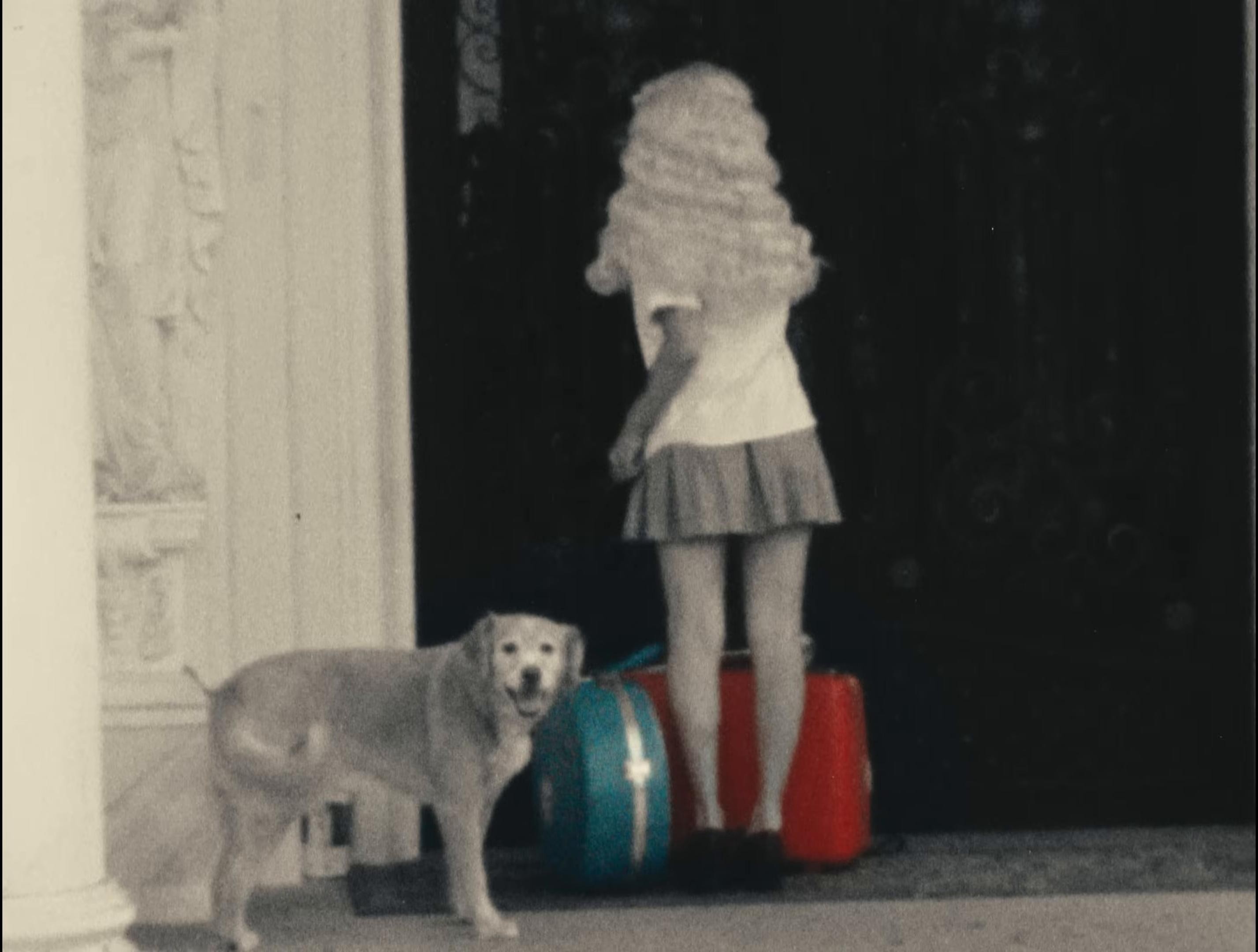 Red White and Blue (2024) —  shot,  lighting