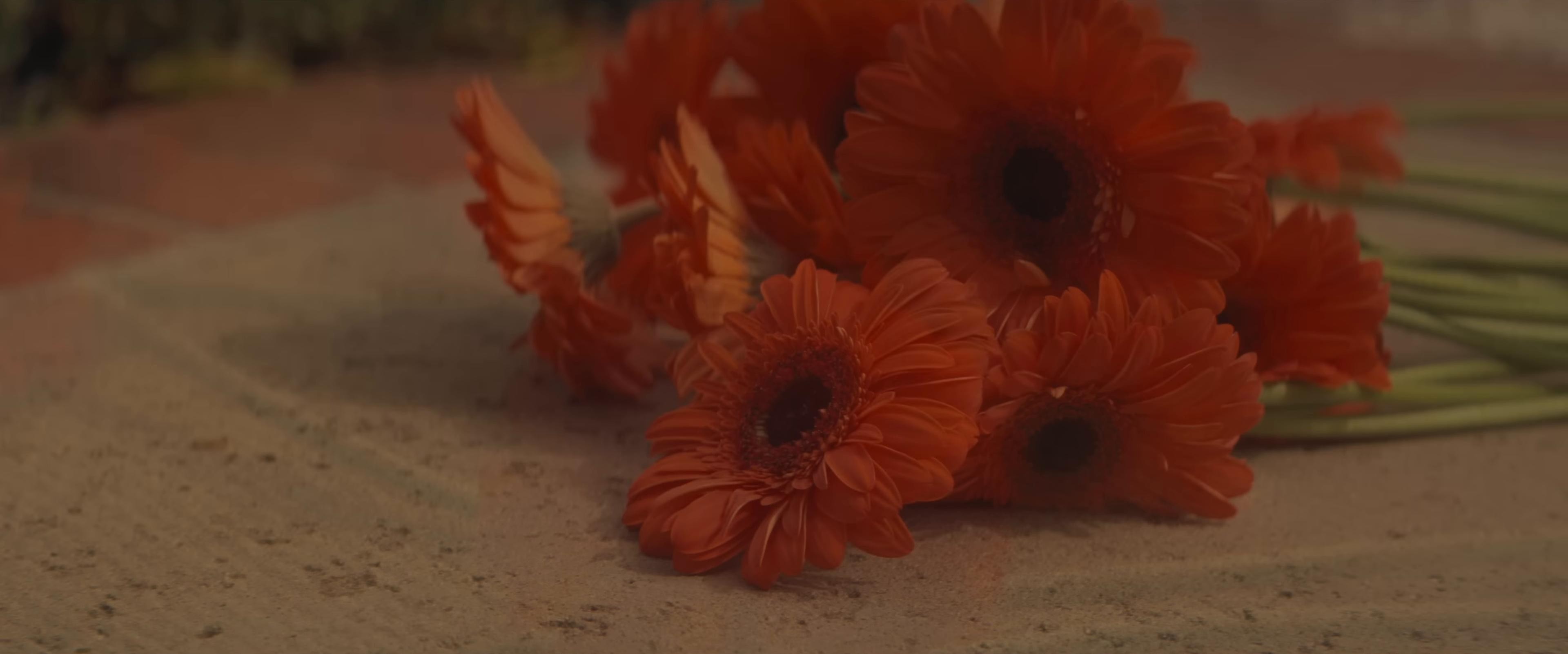 LUNA (2024) —  shot,  lighting