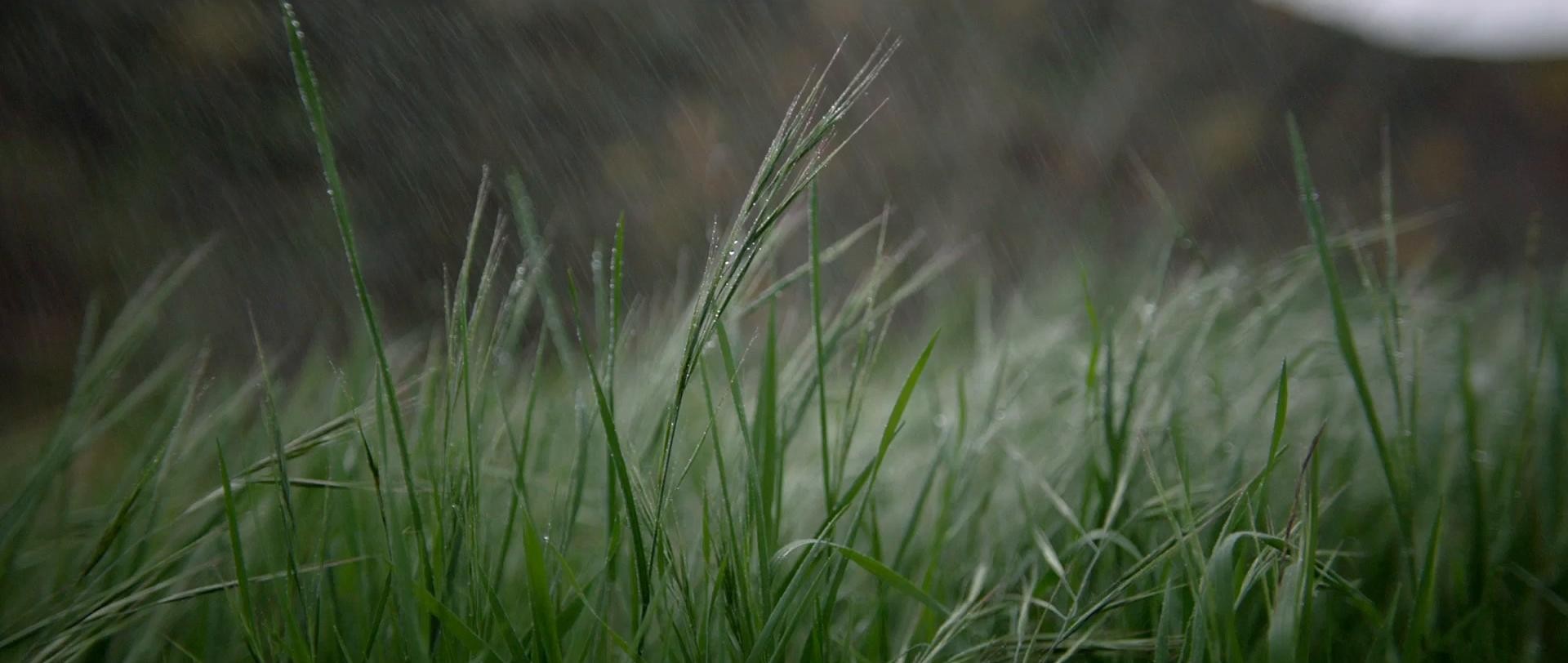 ARROWHEAD "Great" (2016) —  shot,  lighting