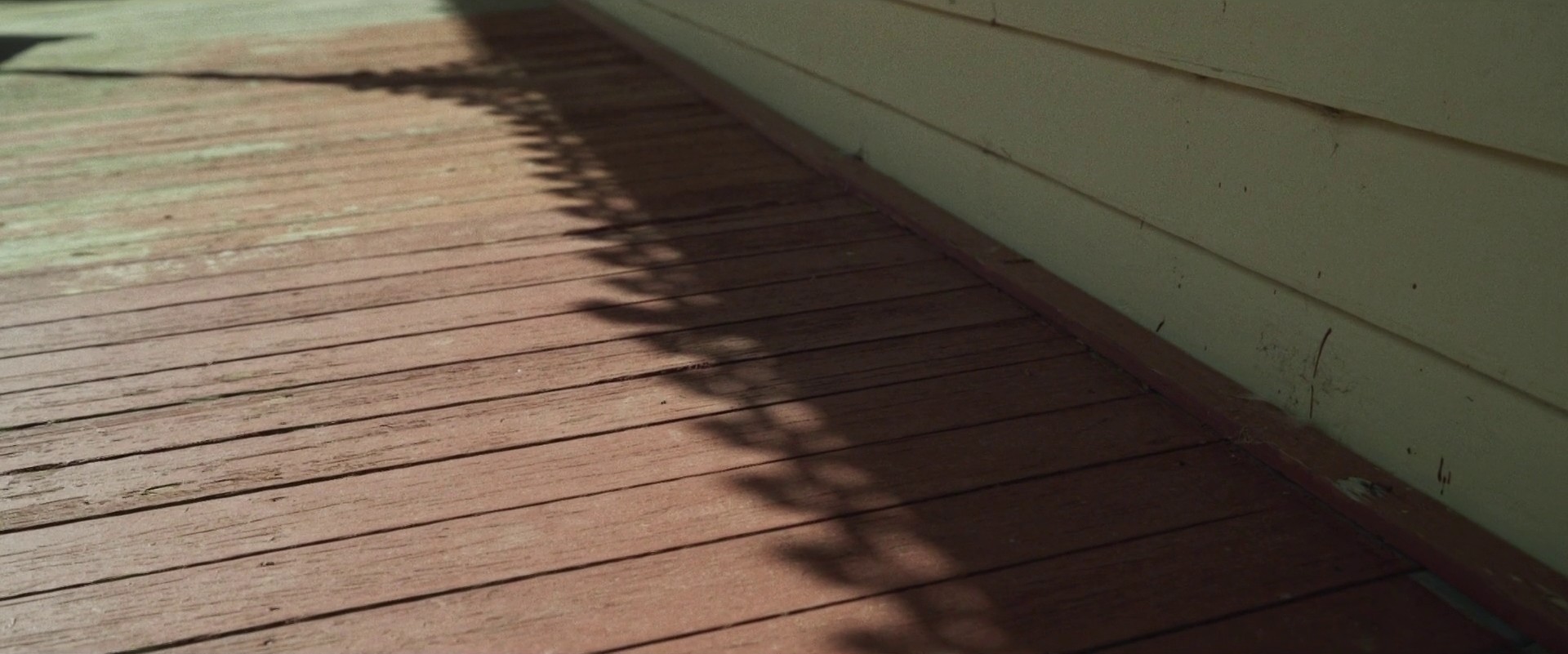 The Dry (2021) —  shot,  lighting