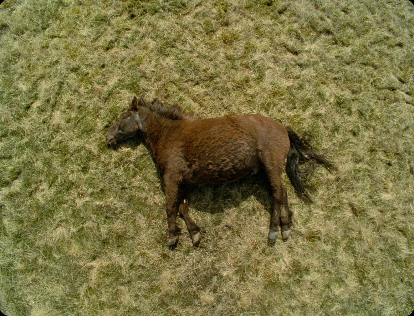 Godland (2022) —  shot,  lighting