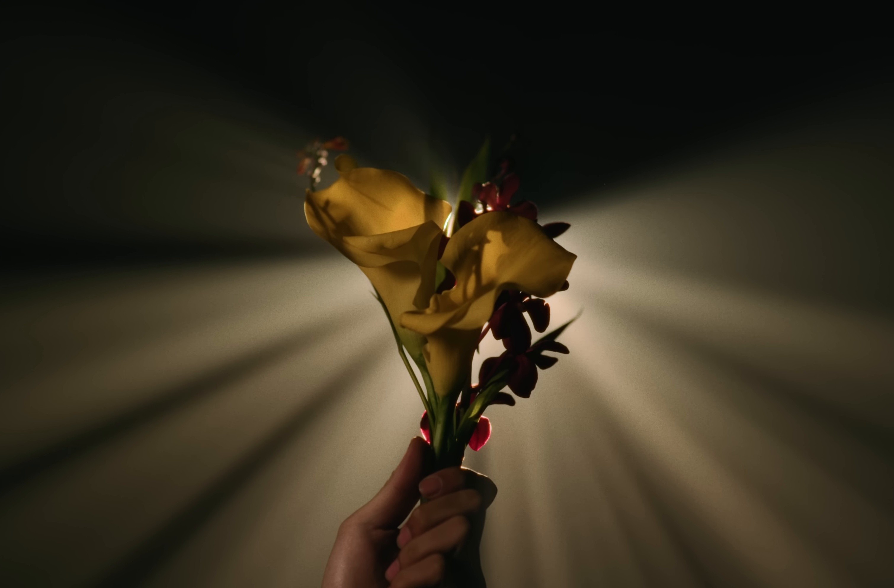 Nằm Bên Anh (2025) —  shot,  lighting