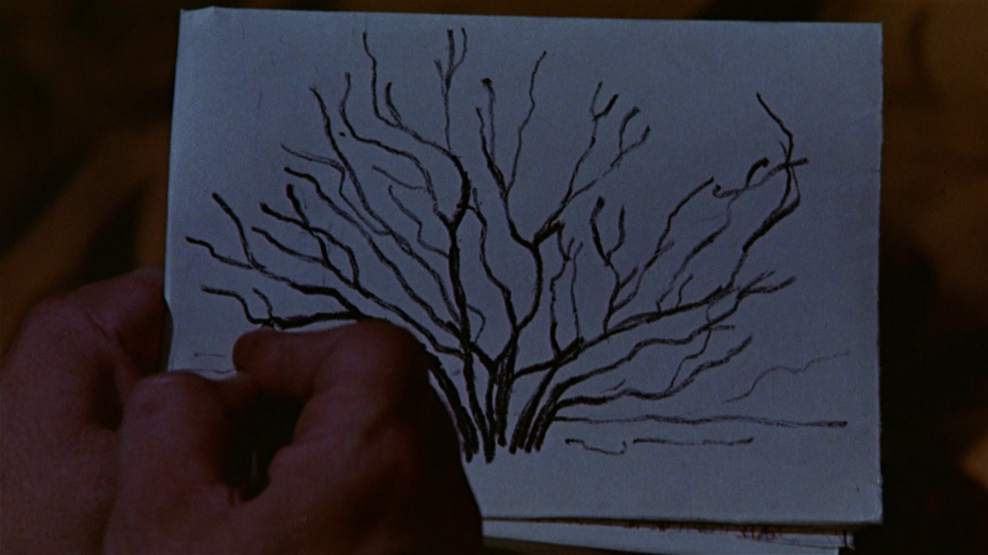 The Little Prince (1974) —  shot,  lighting