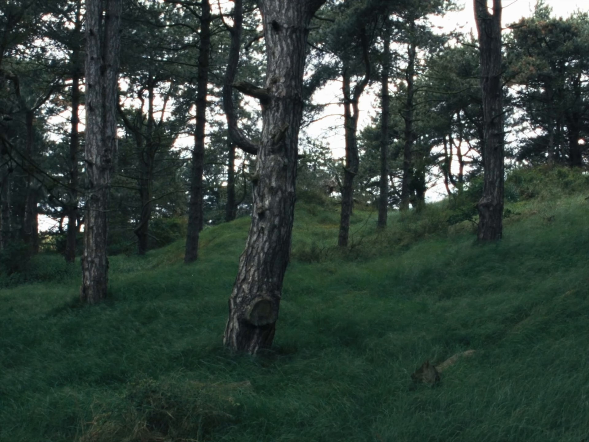 Piano Hands (2024) —  shot,  lighting