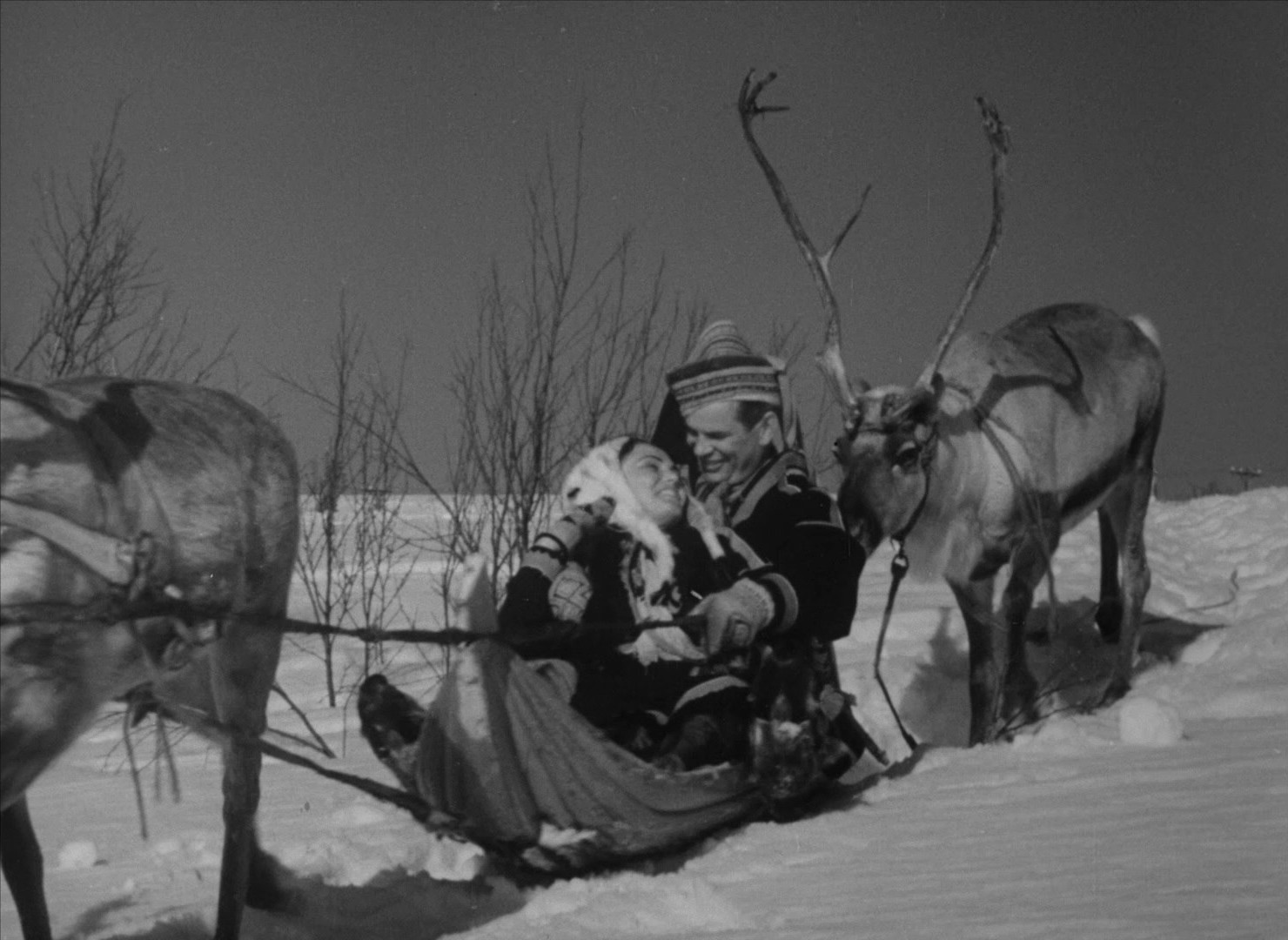 The White Reindeer (1952) —  shot,  lighting