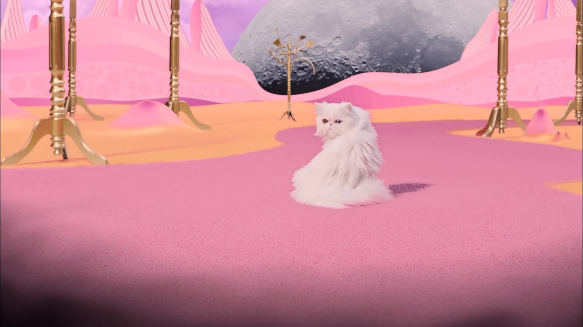 Being Restless (2019) —  shot,  lighting