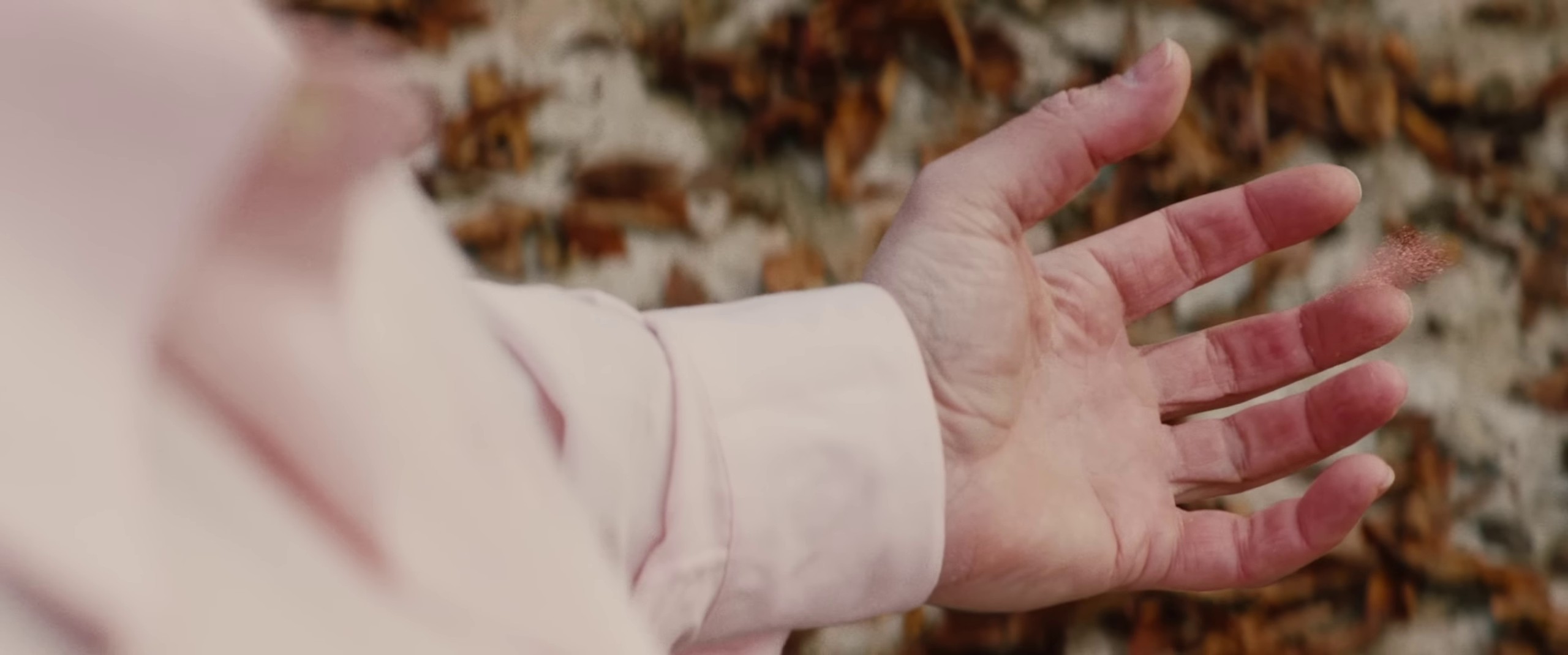 313 (2024) —  shot,  lighting