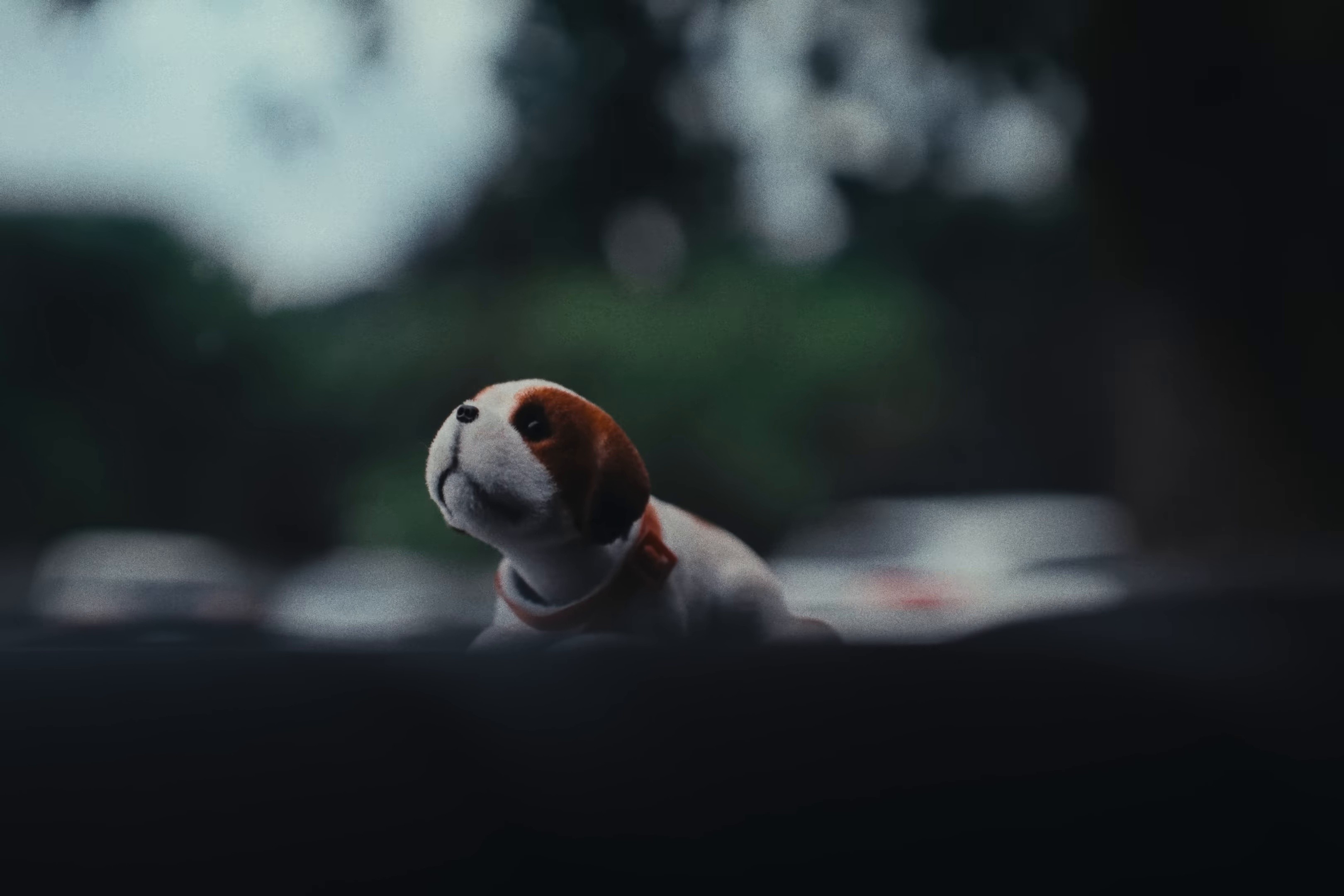 MONEY (2025) —  shot,  lighting