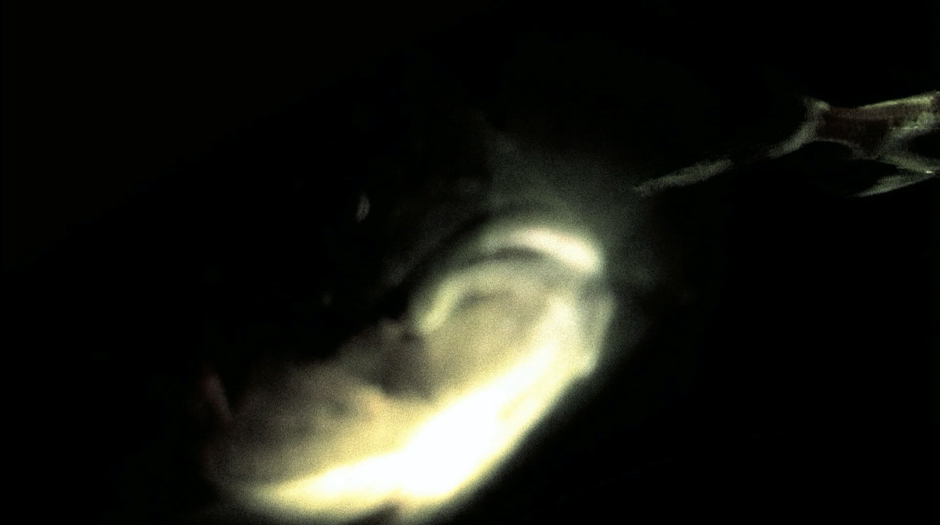 City of God (2002) —  shot,  lighting