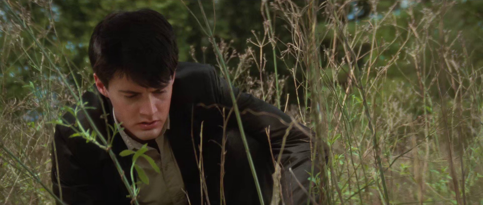 Blue Velvet (1986) —  shot,  lighting