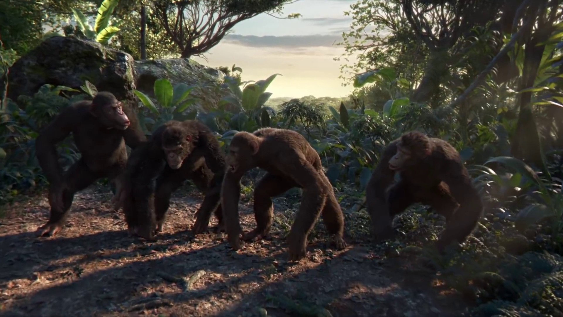 Adventure Of A Lifetime (2015) —  shot,  lighting