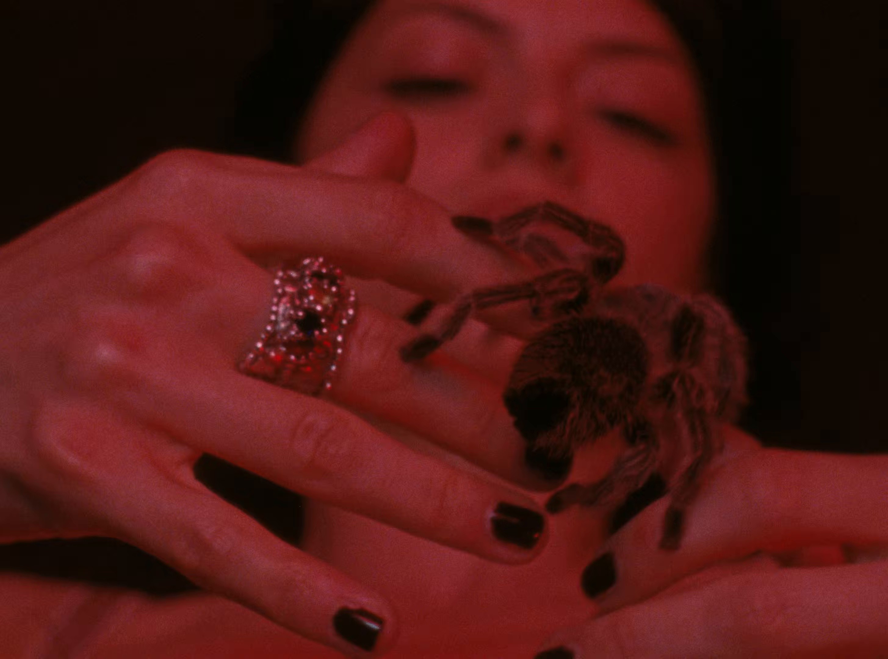 Not the Only One (2026) —  shot,  lighting