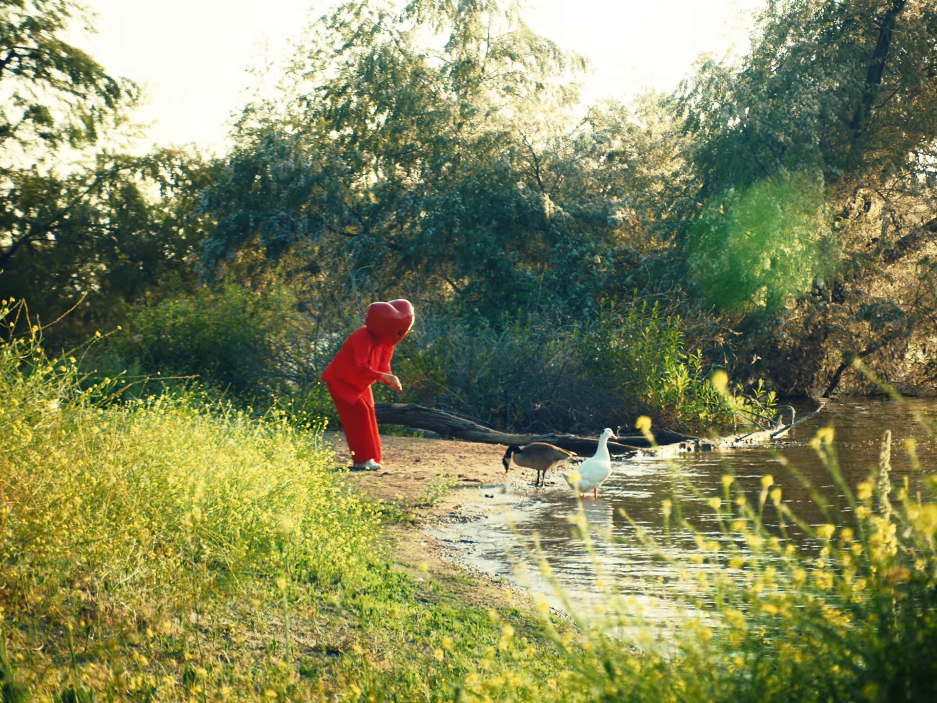 Lovers (2024) —  shot,  lighting