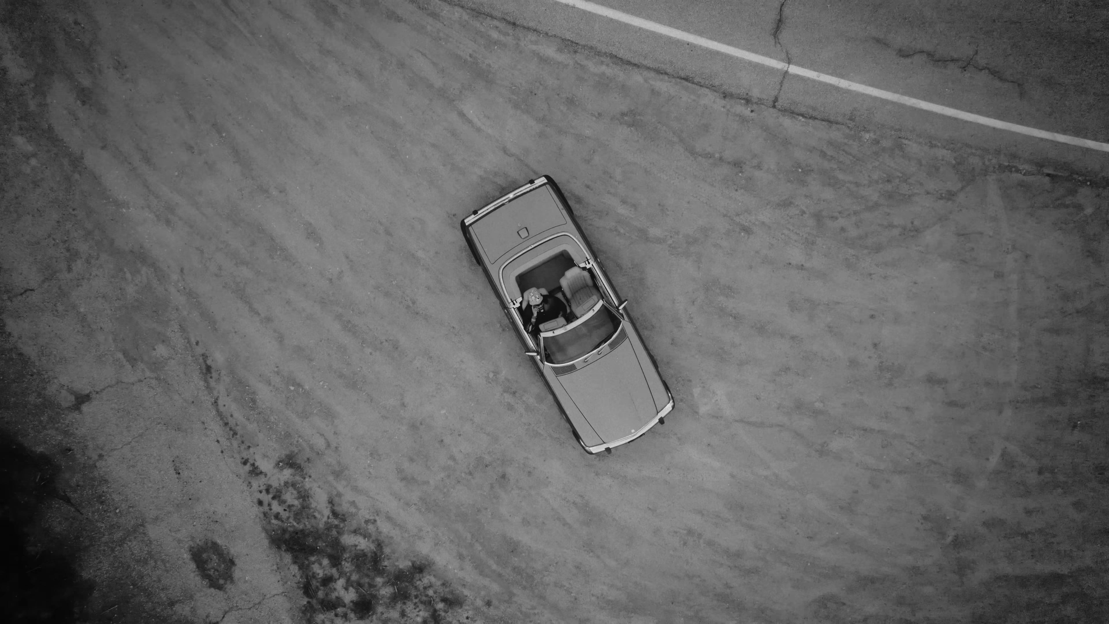 Instincts (2024) —  shot,  lighting