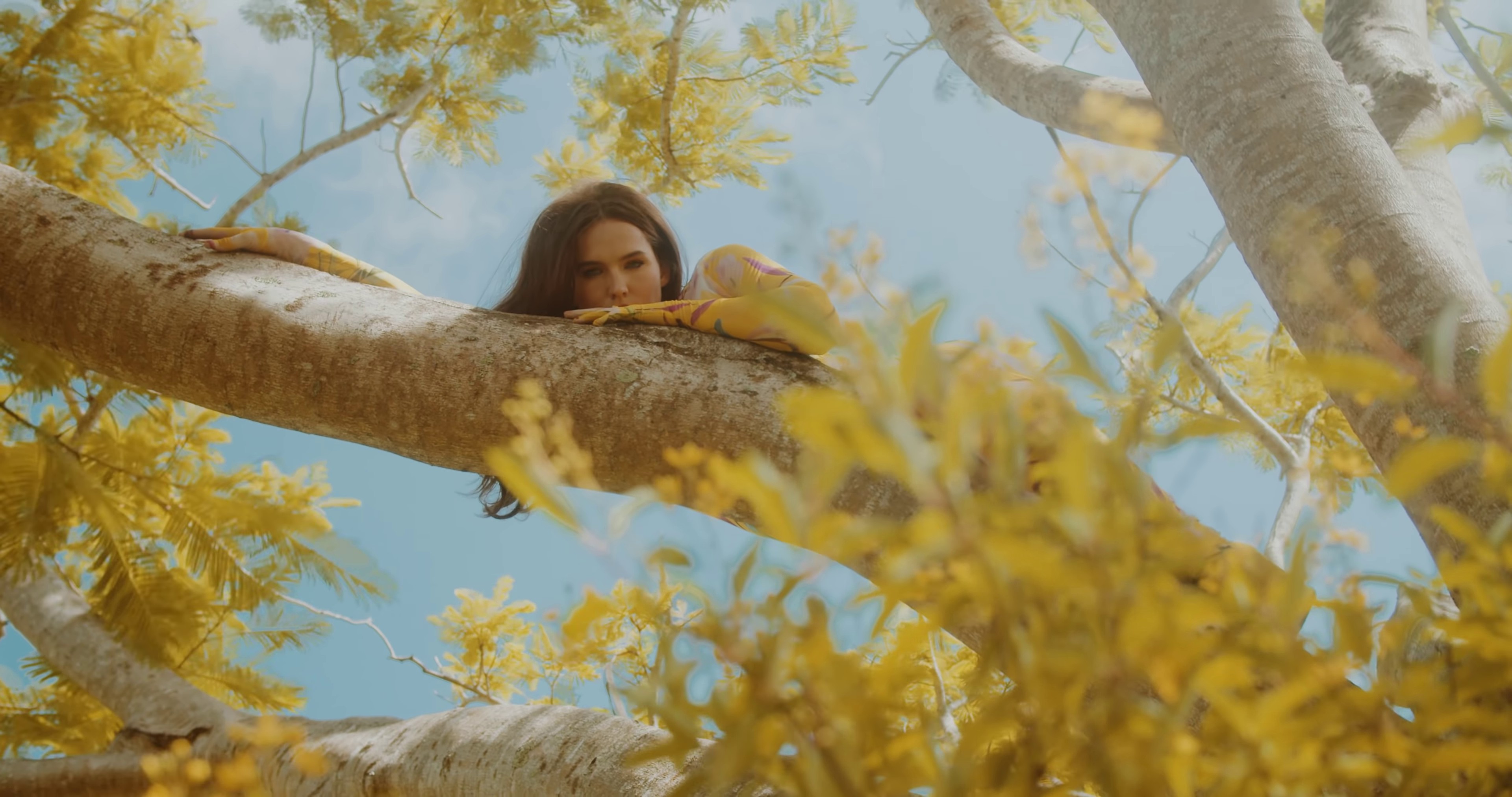 Sun Came Up (2021) —  shot,  lighting