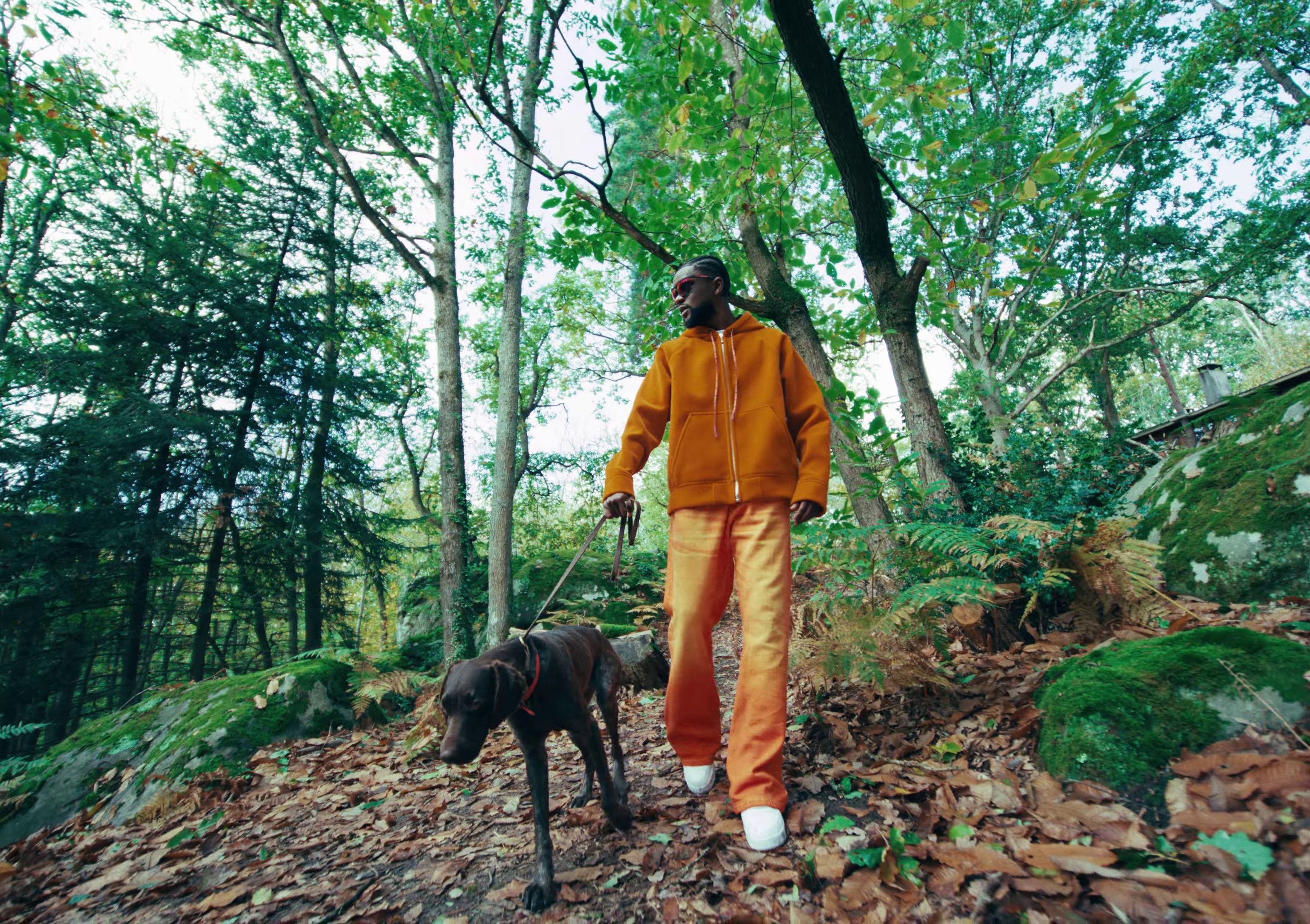 DIS-MOI (2023) —  shot,  lighting