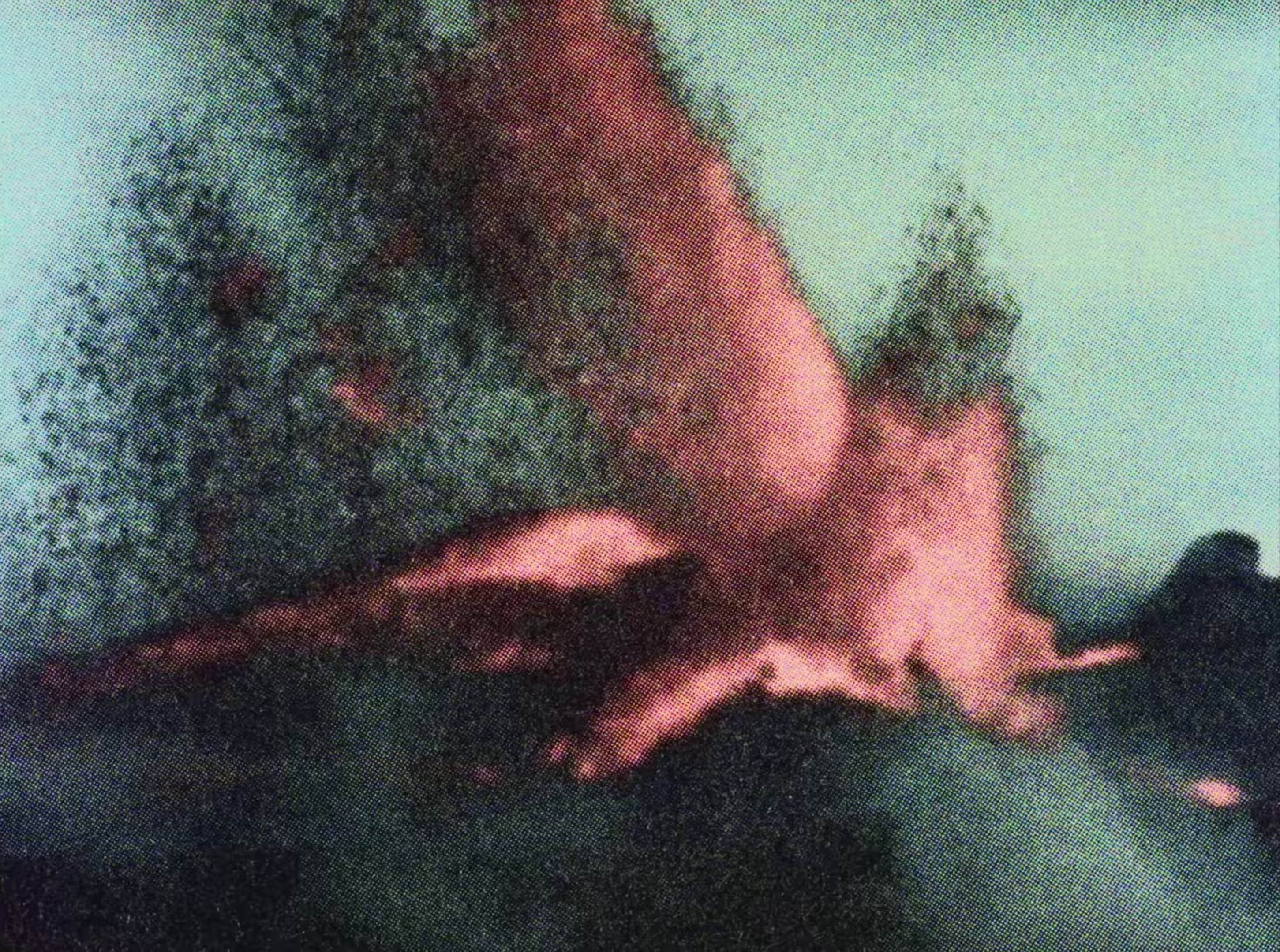 boys, bugs and men (2024) —  shot,  lighting