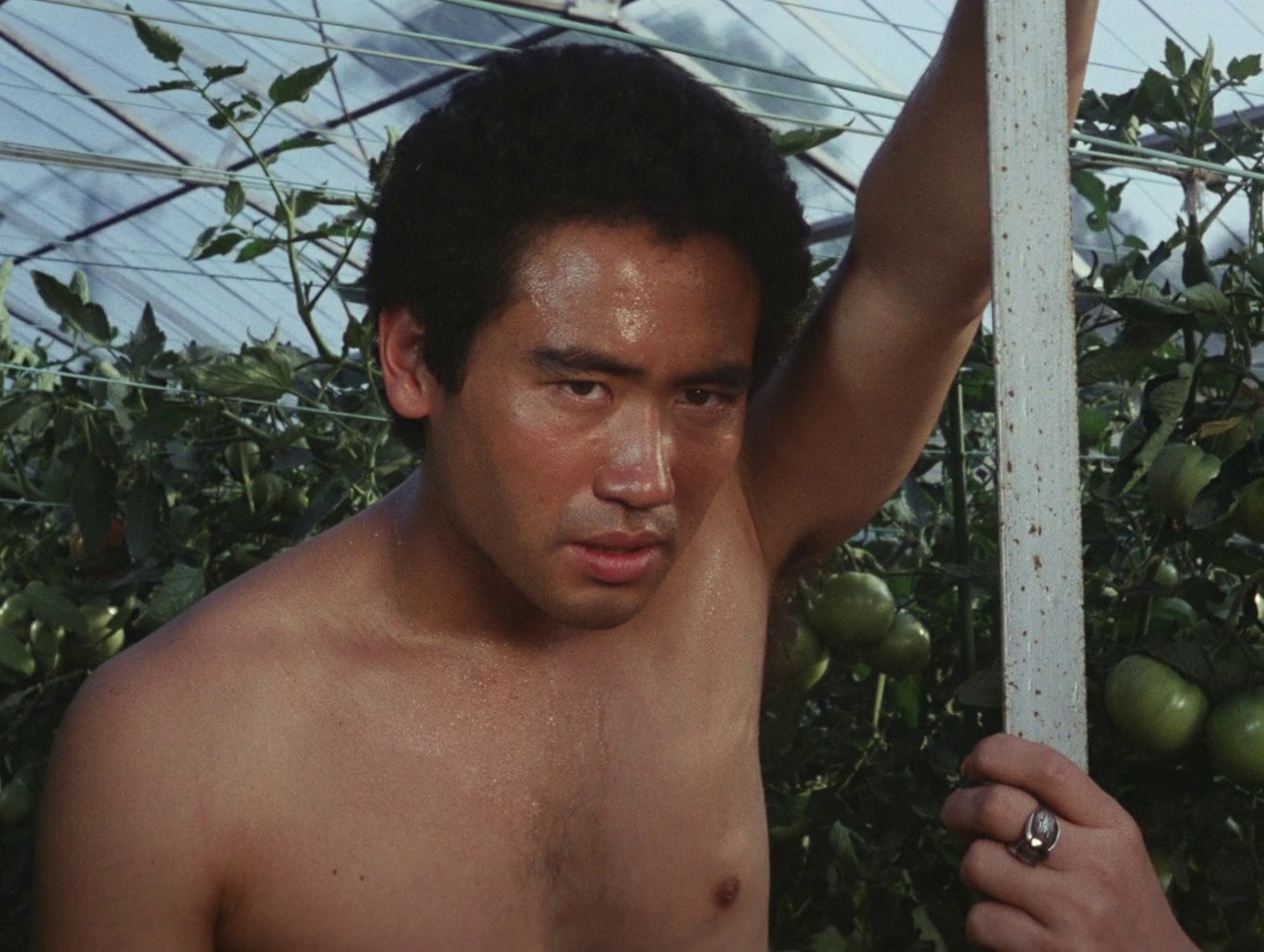 Distant Thunder (1981) —  shot,  lighting