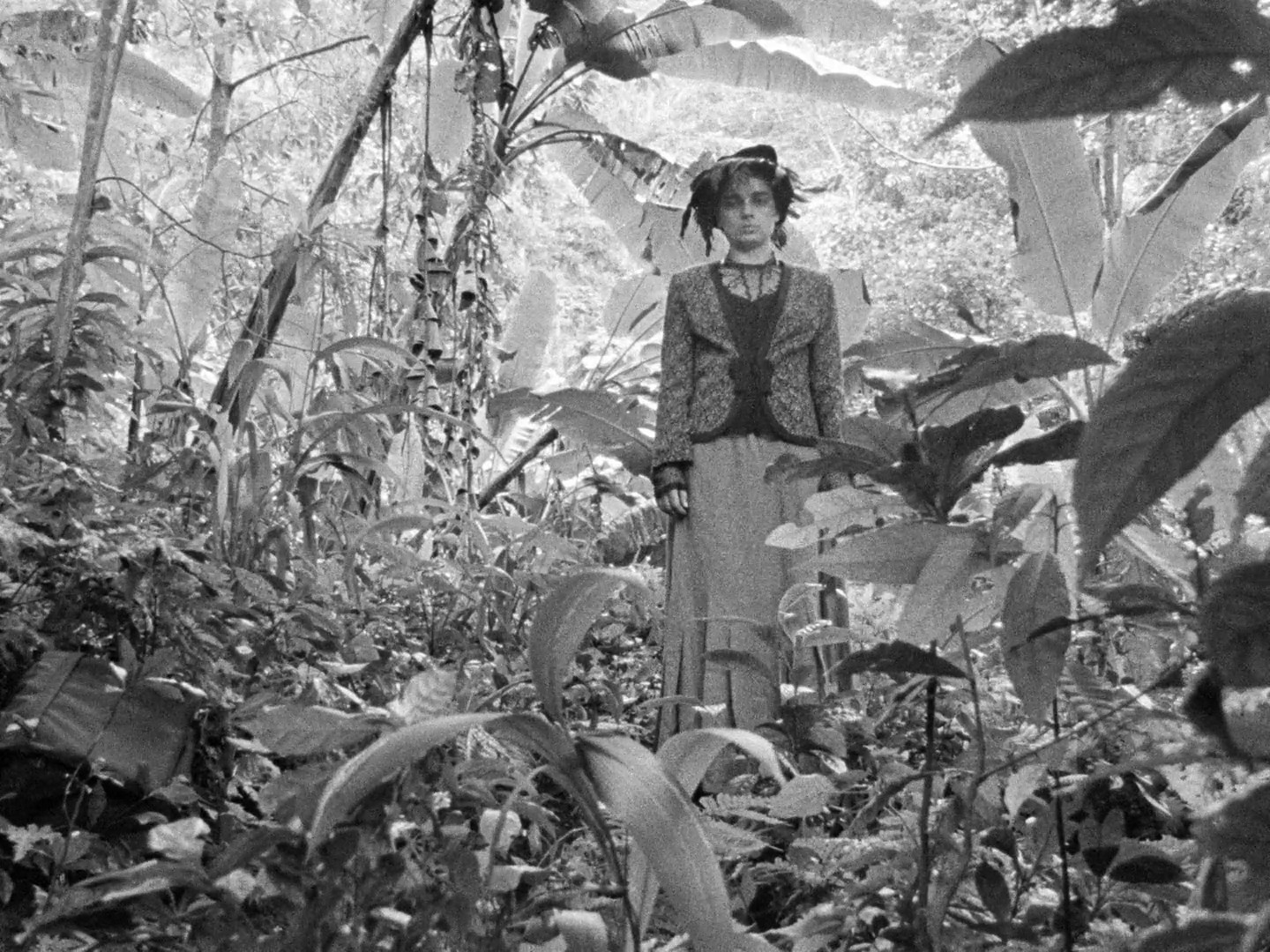 Tabu (2012) —  shot,  lighting