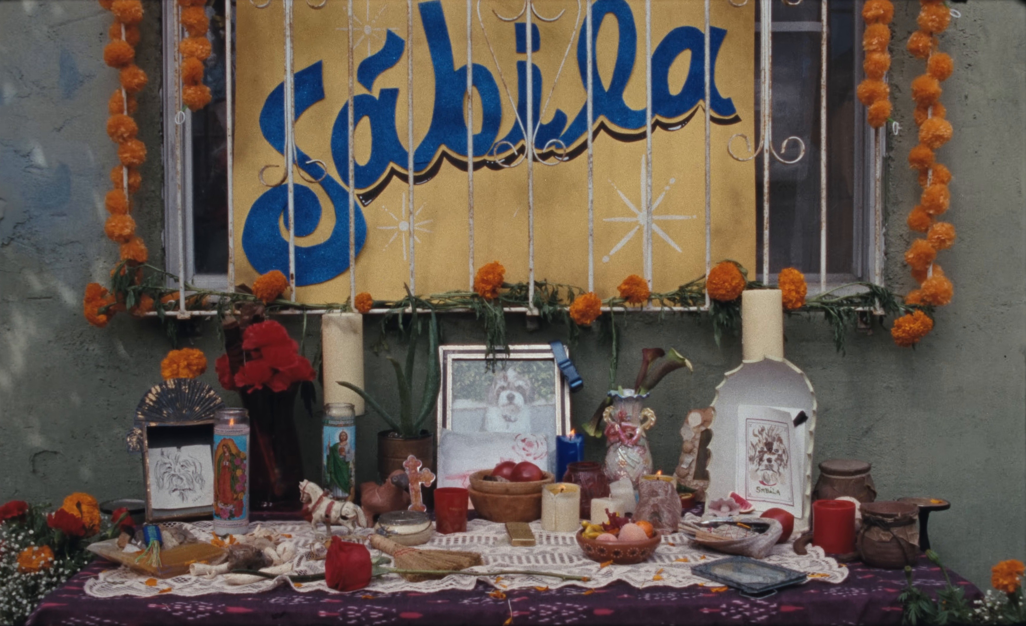 Dreamin’ (2025) —  shot,  lighting