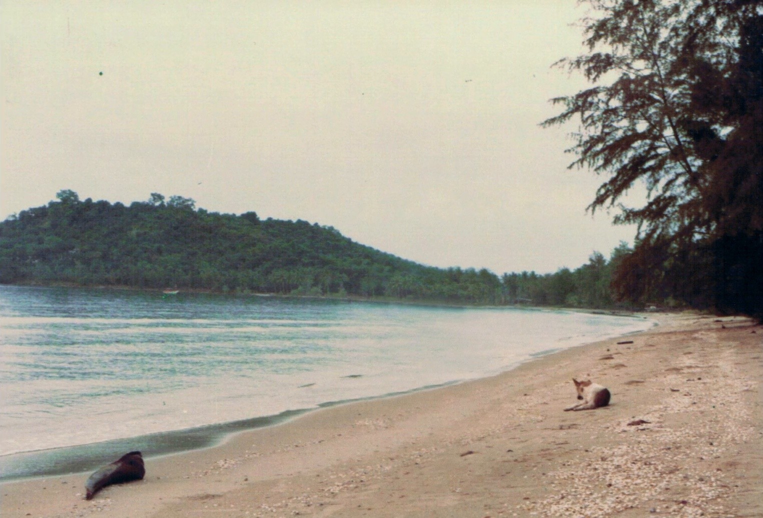 Solids by the Seashore (2025) —  shot,  lighting