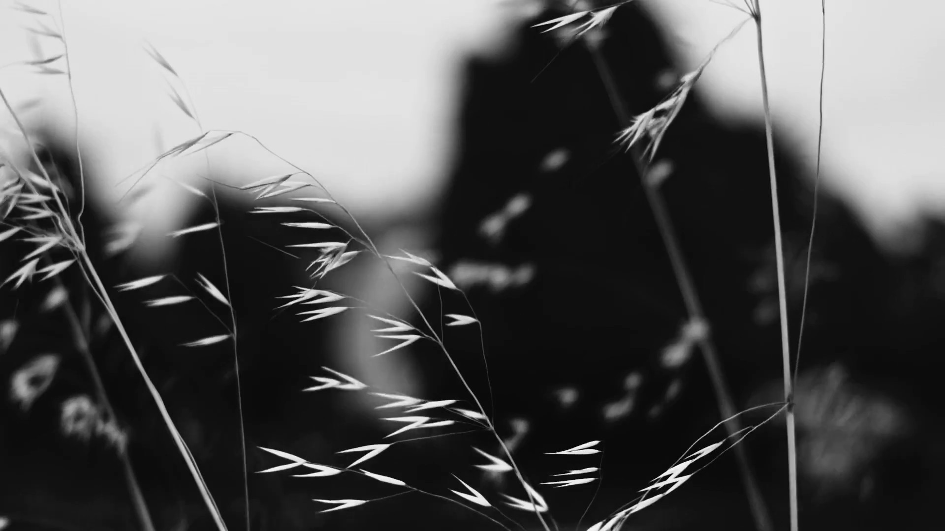 Alright (2015) —  shot,  lighting