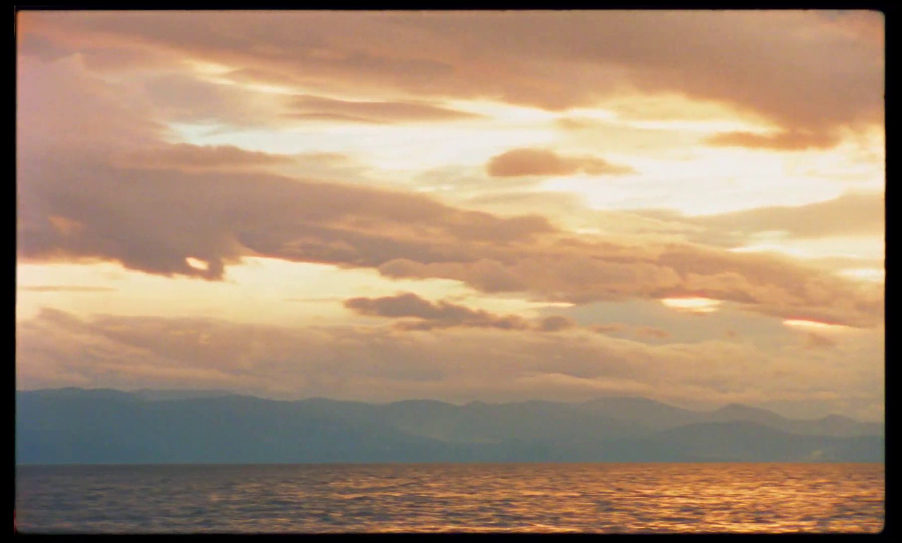 SERGIO ARAUJO X STEFANIA VAIDANI (2024) —  shot,  lighting