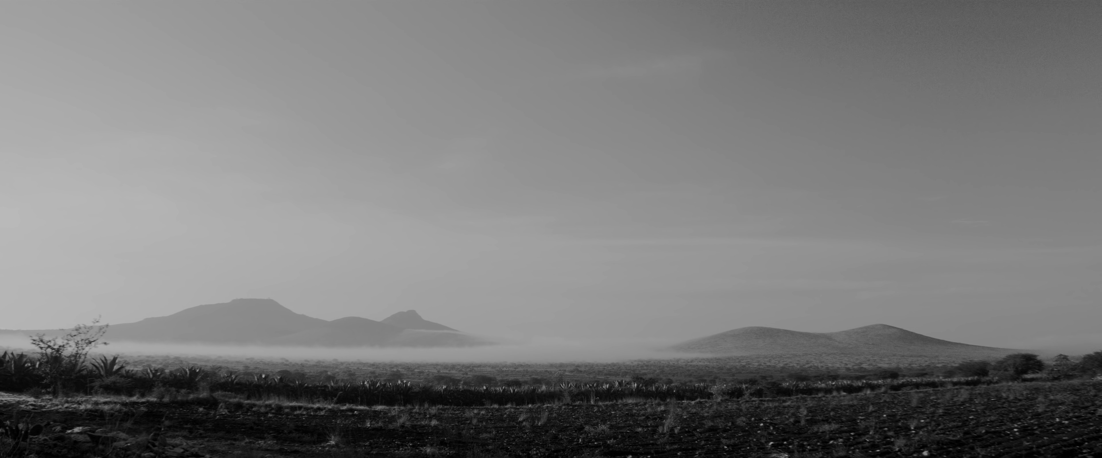 Hijos del Sol (2020) —  shot,  lighting