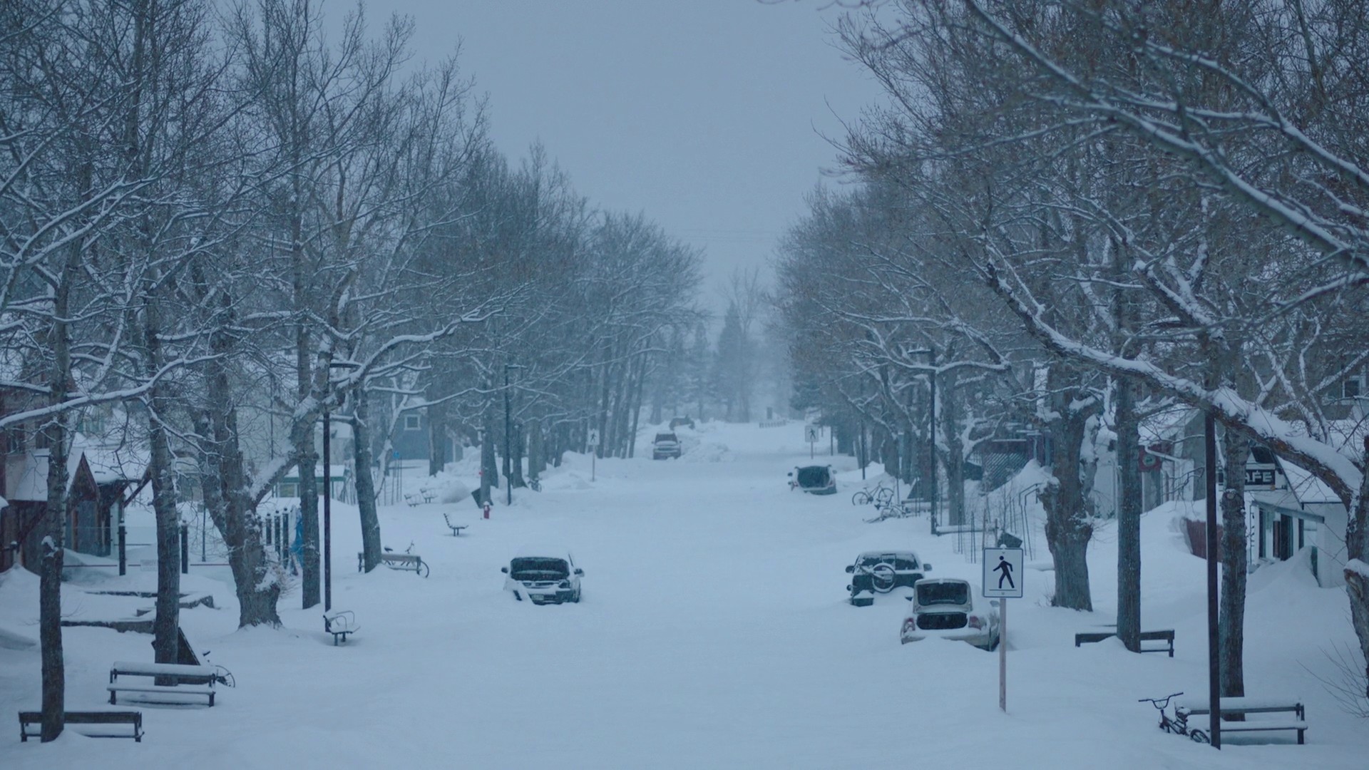 When We Are in Need (2023) —  shot,  lighting