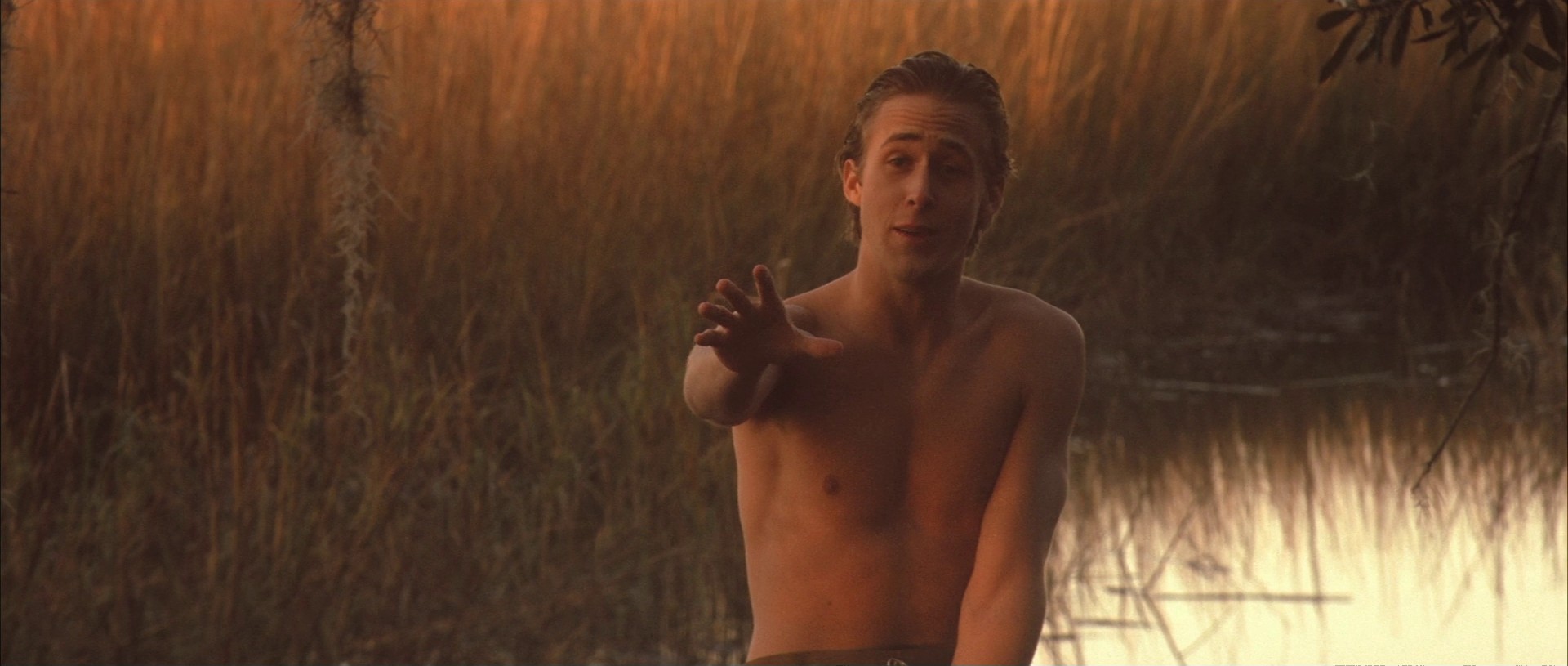 The Notebook (2004) —  shot,  lighting