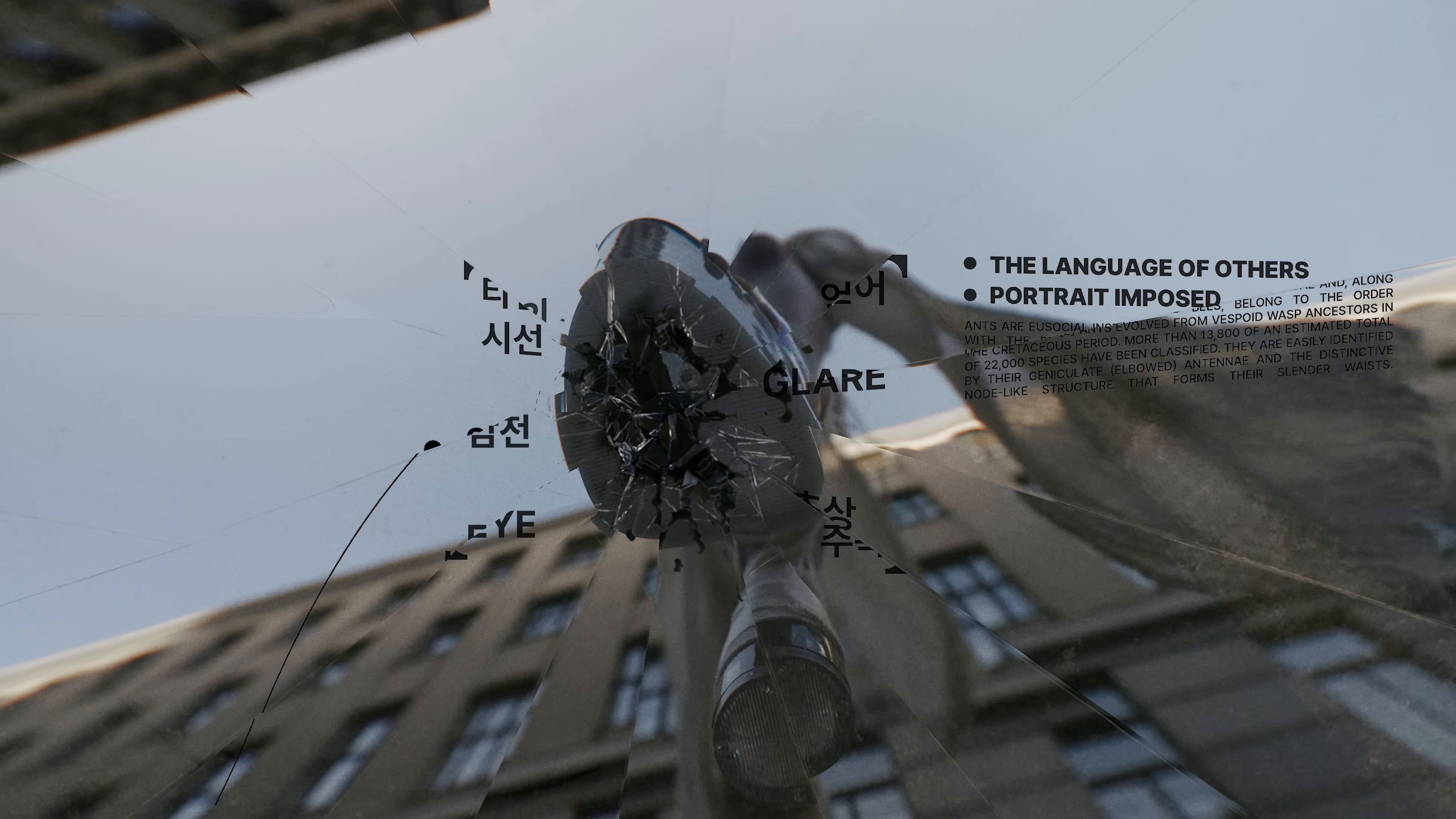 TUNNEL VISION (2025) —  shot,  lighting