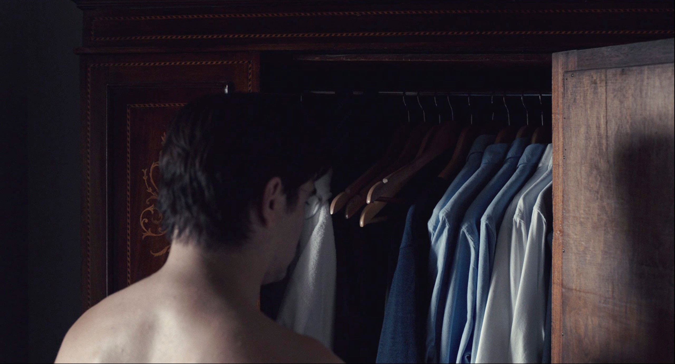 The Lobster (2015) —  shot,  lighting
