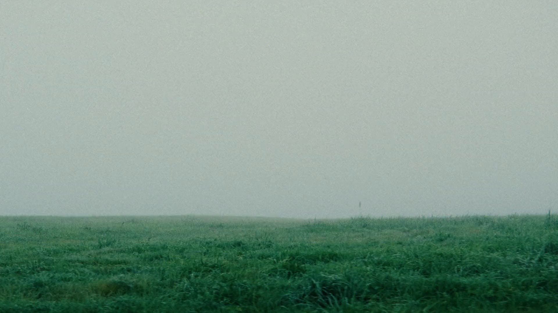 Avito - Работа. Рабочий (Х)ор. (2025) —  shot,  lighting