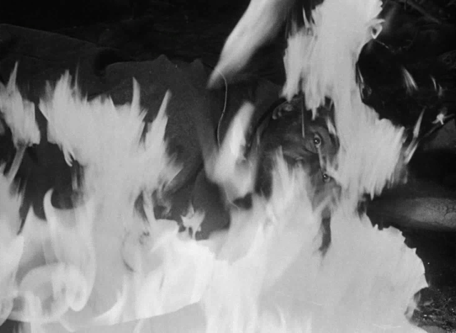 The Treasure of the Sierra Madre (1948) —  shot,  lighting