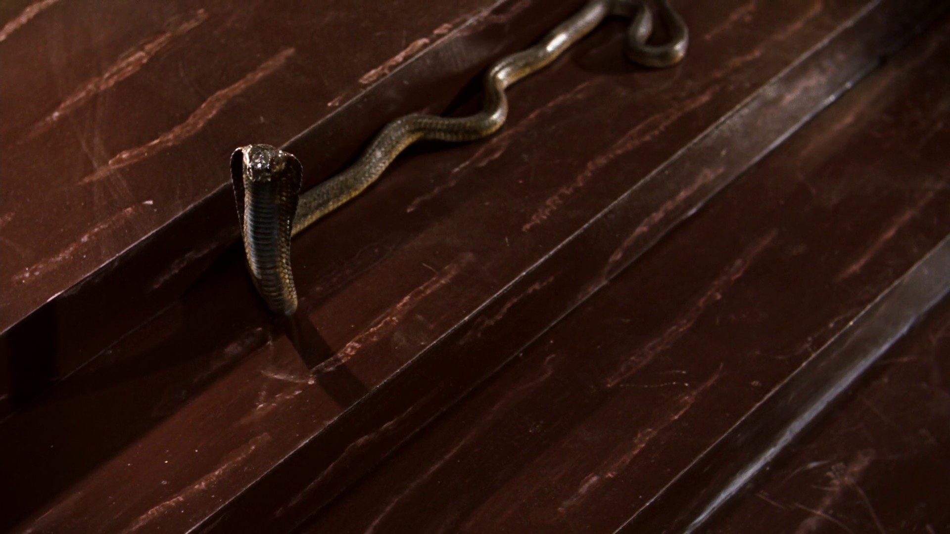 The Ten Commandments (1956) —  shot,  lighting