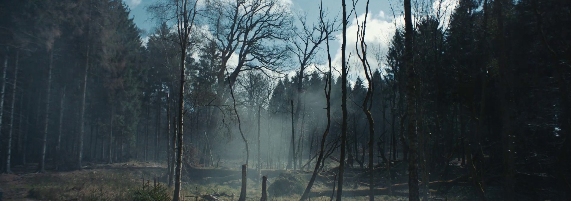 in Cold Blood (2017) —  shot,  lighting