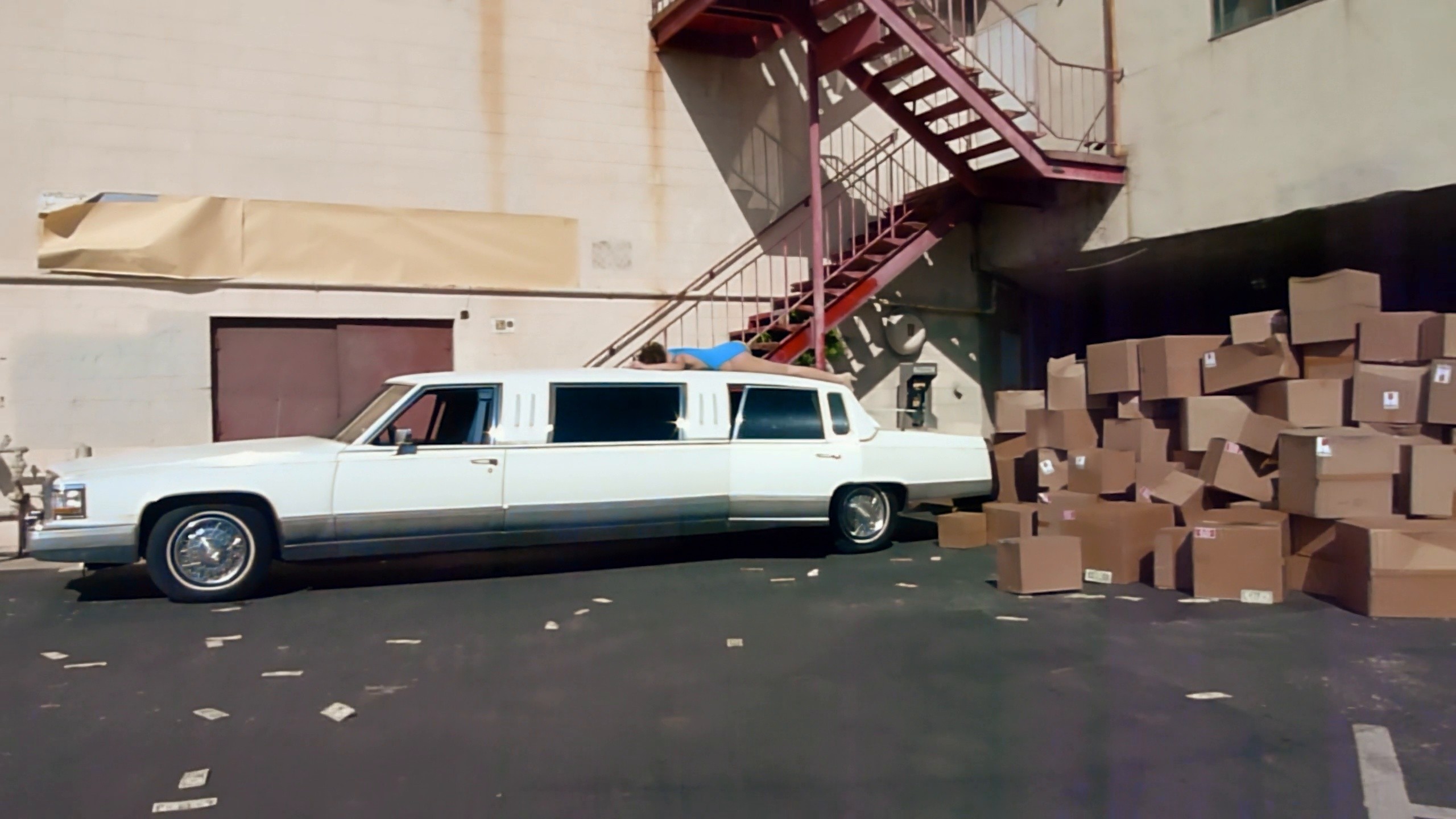 Korg Funk 5 (2025) —  shot,  lighting